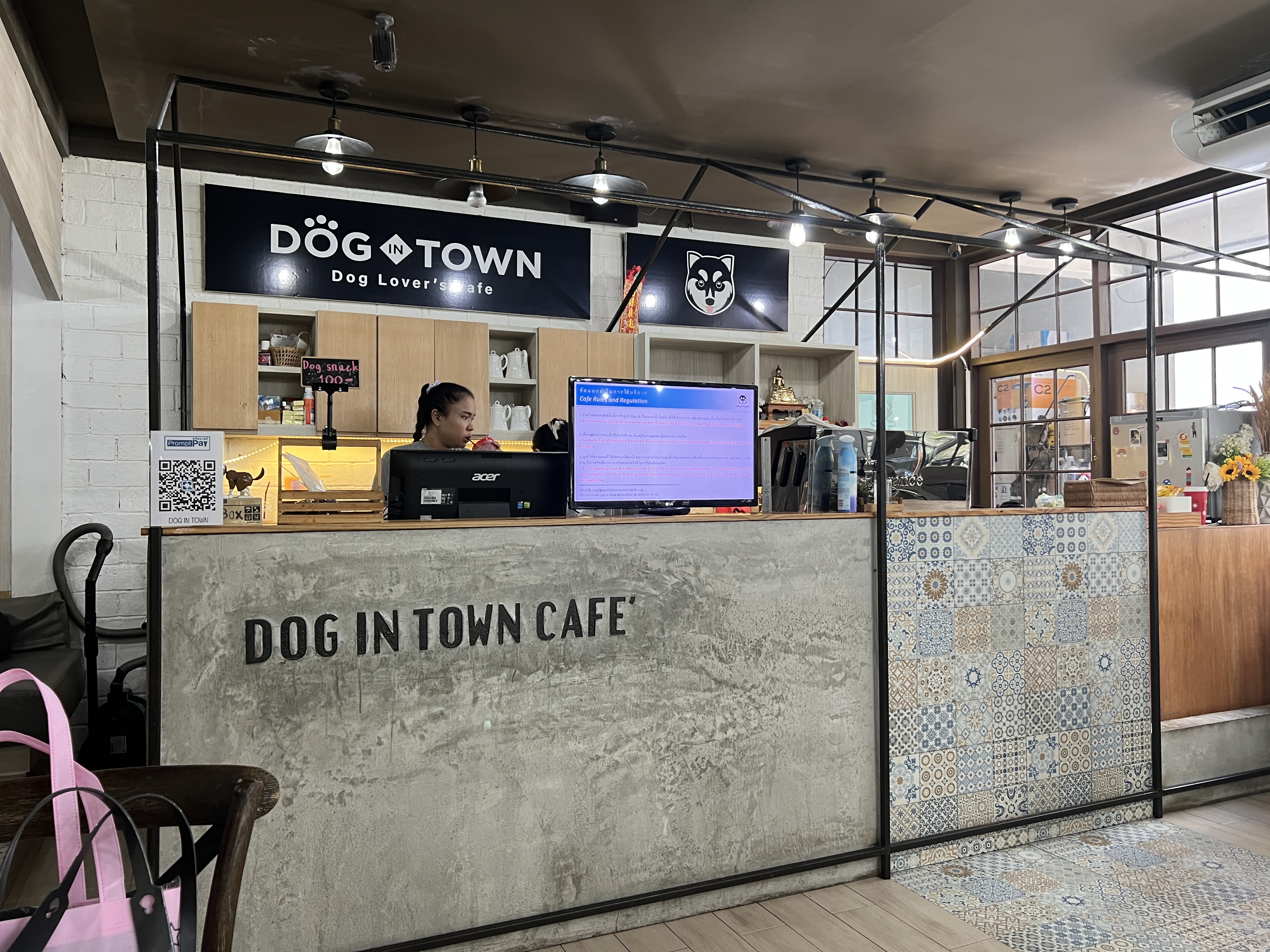 Dog in Town Ekkamai