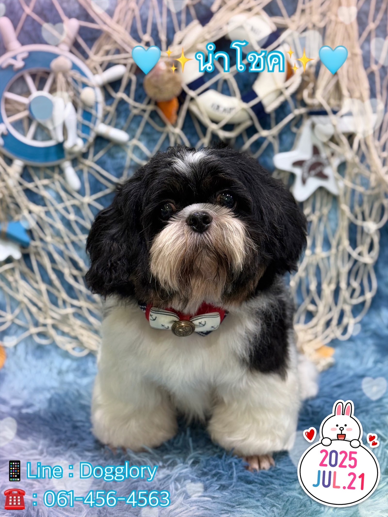 Dogglory petshop & grooming center