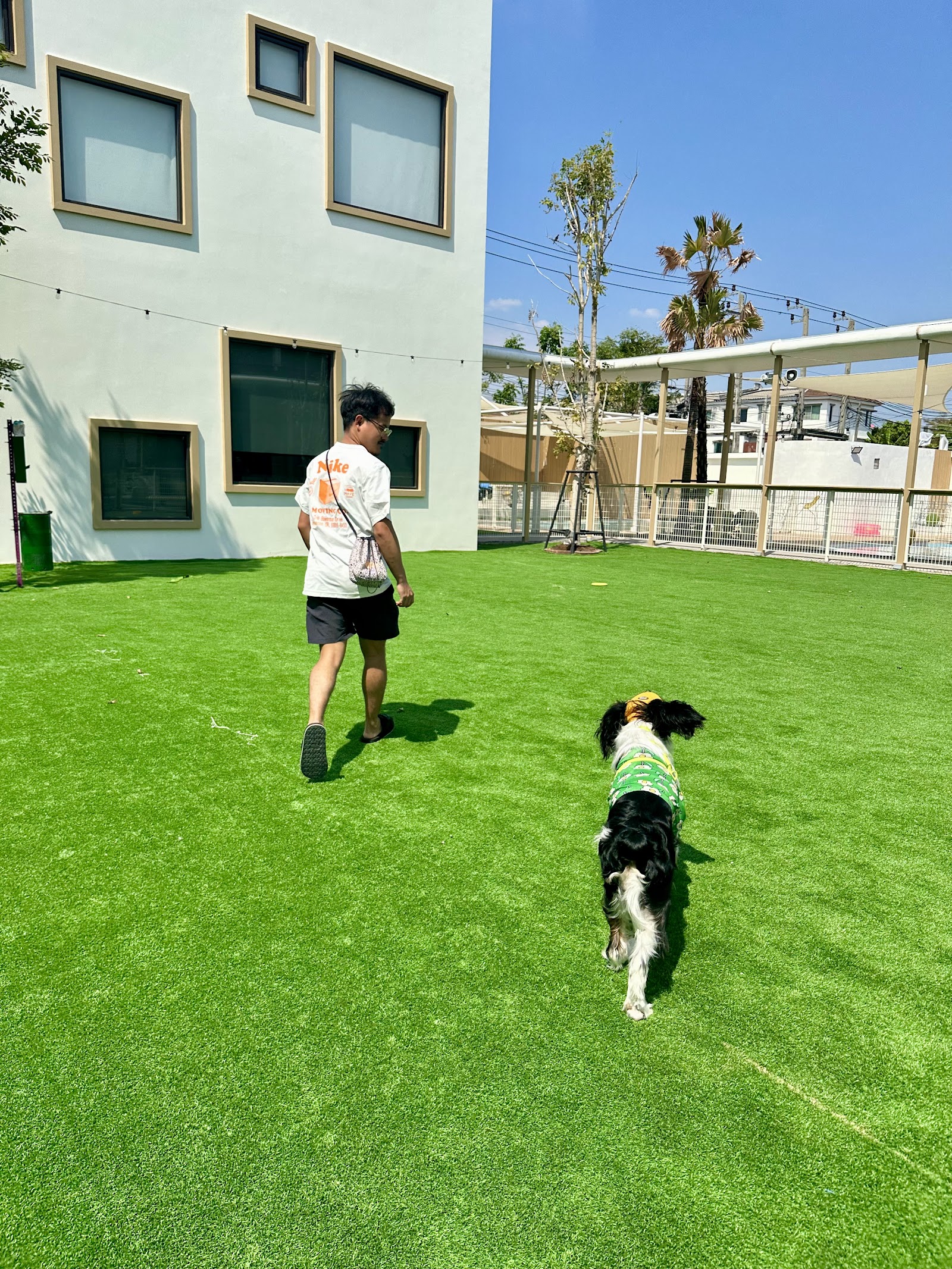 DoGGo PLAY