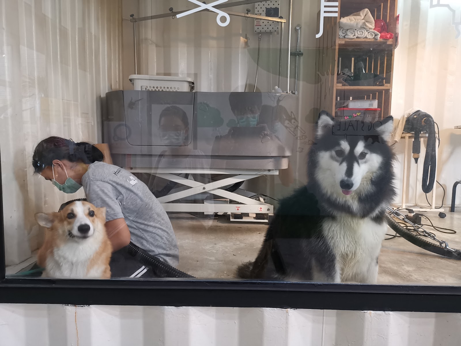 DOGS TALE Bangkok