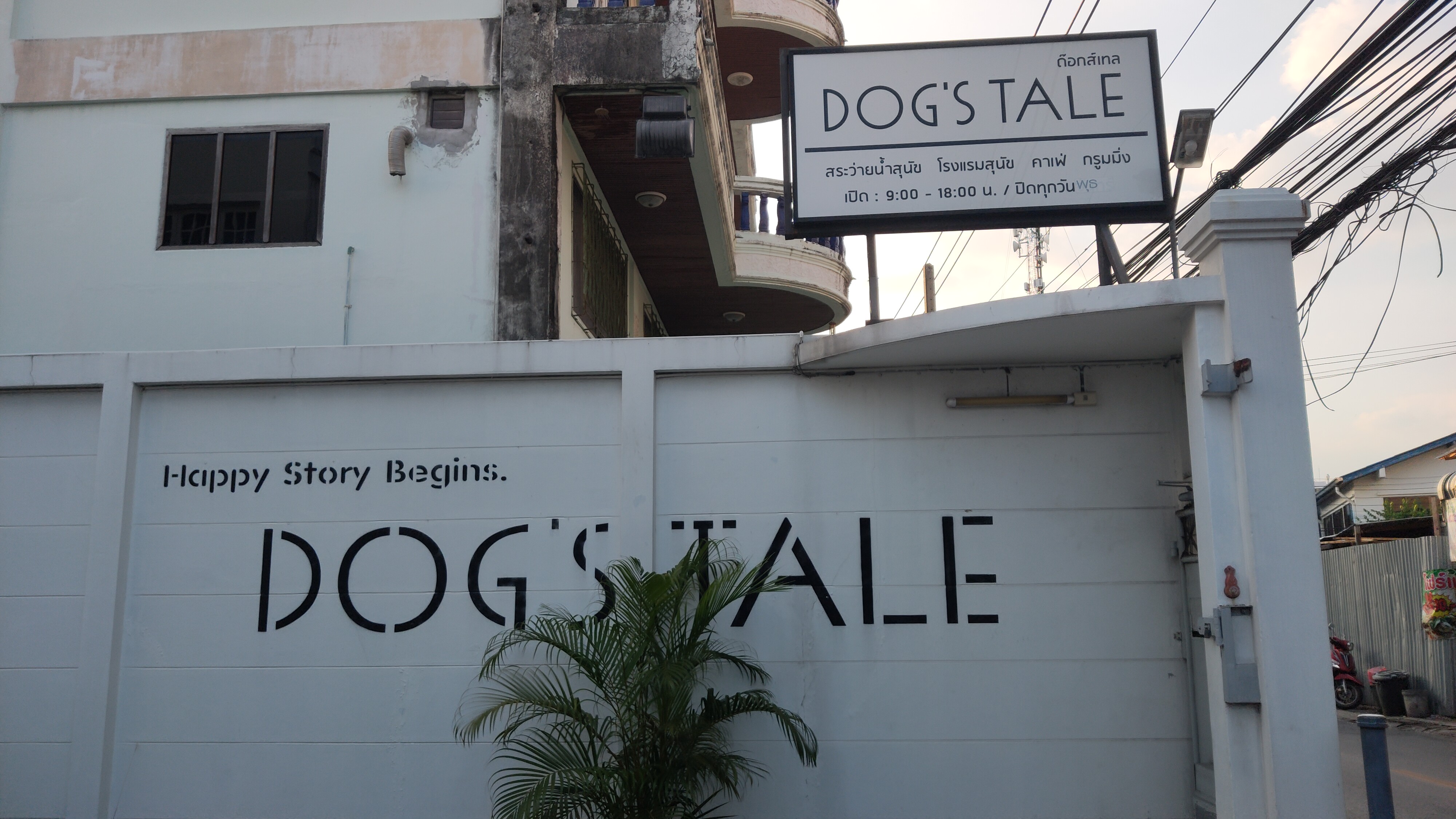 DOGS TALE Bangkok