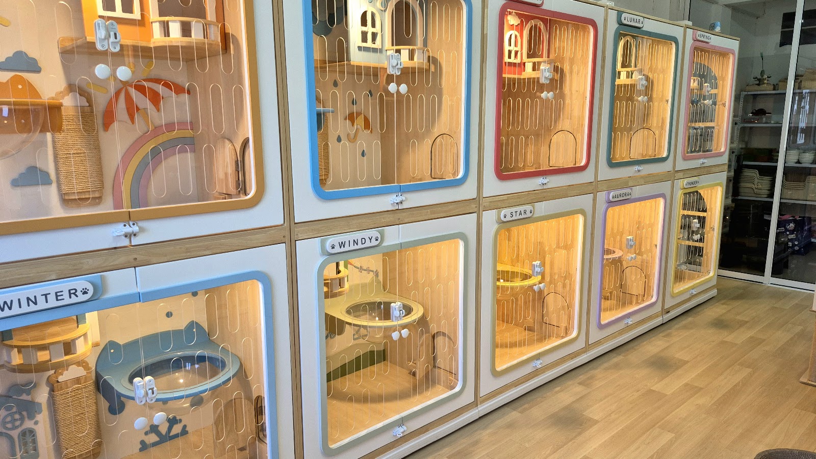 Dozy Cat Grooming & Hotel