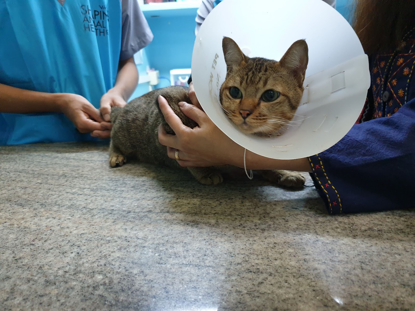 Ekachai Animal Hospital