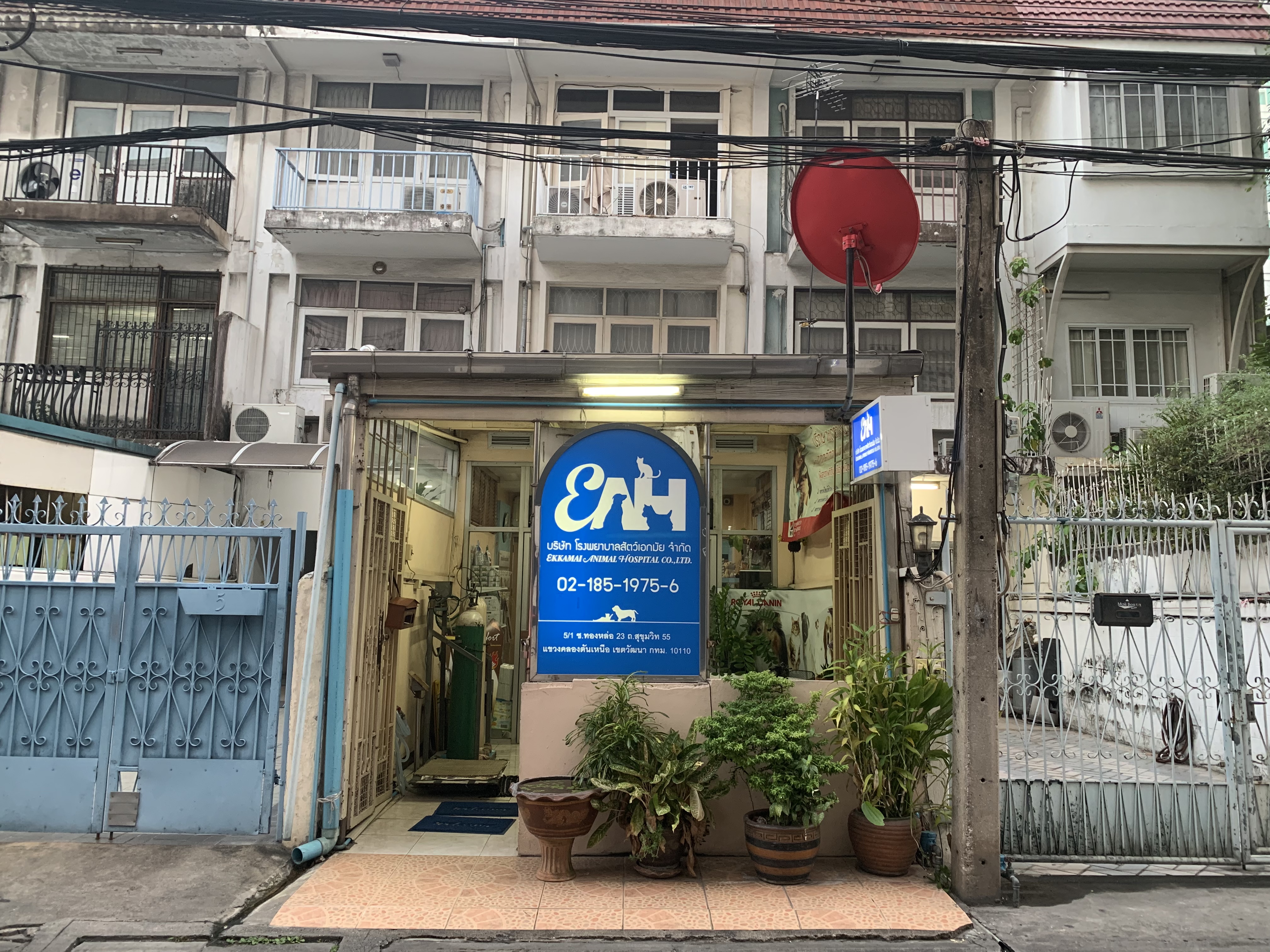 Ekkamai Animal Hospital