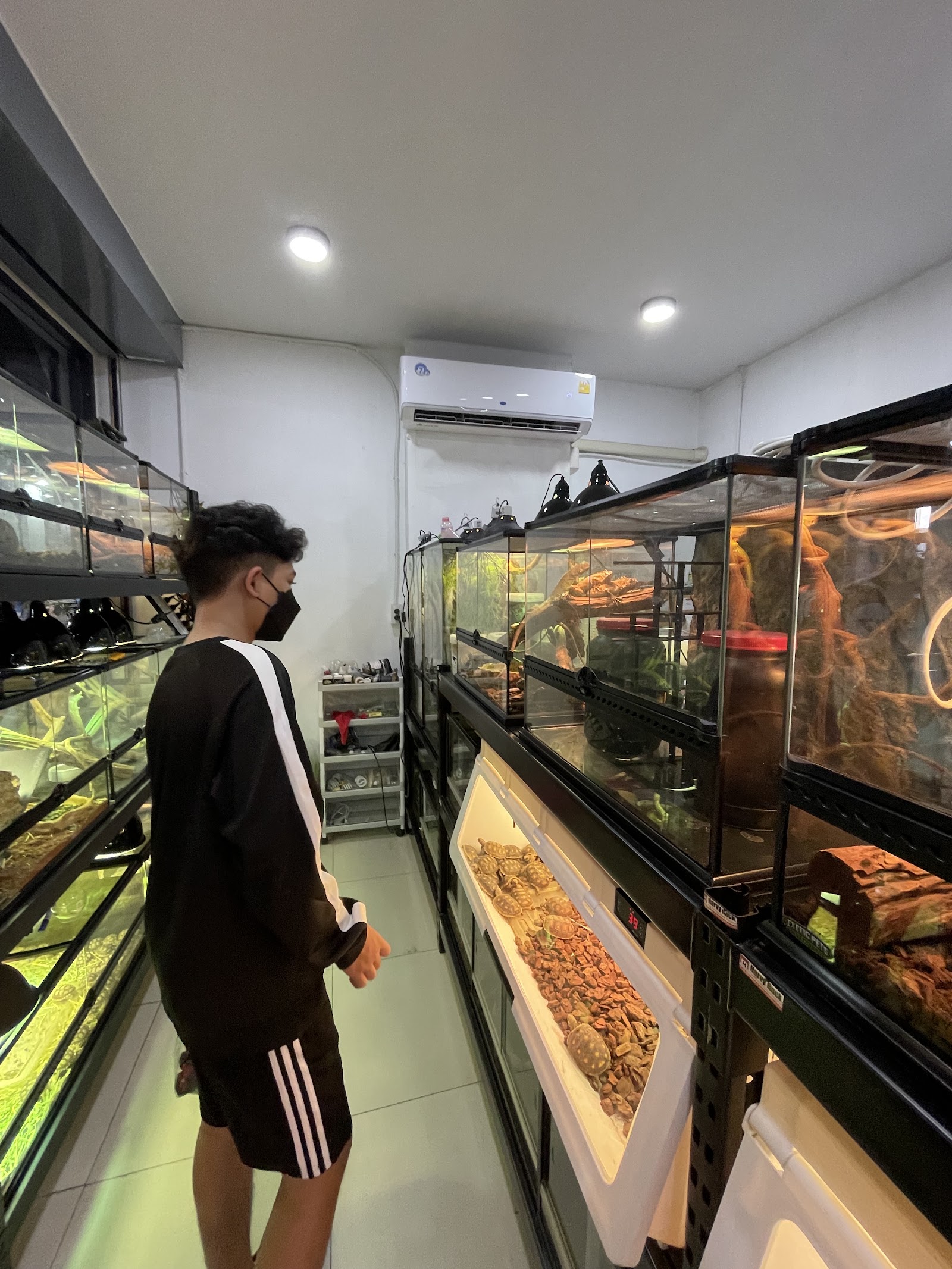 Exotic Pets Studio Jatujak
