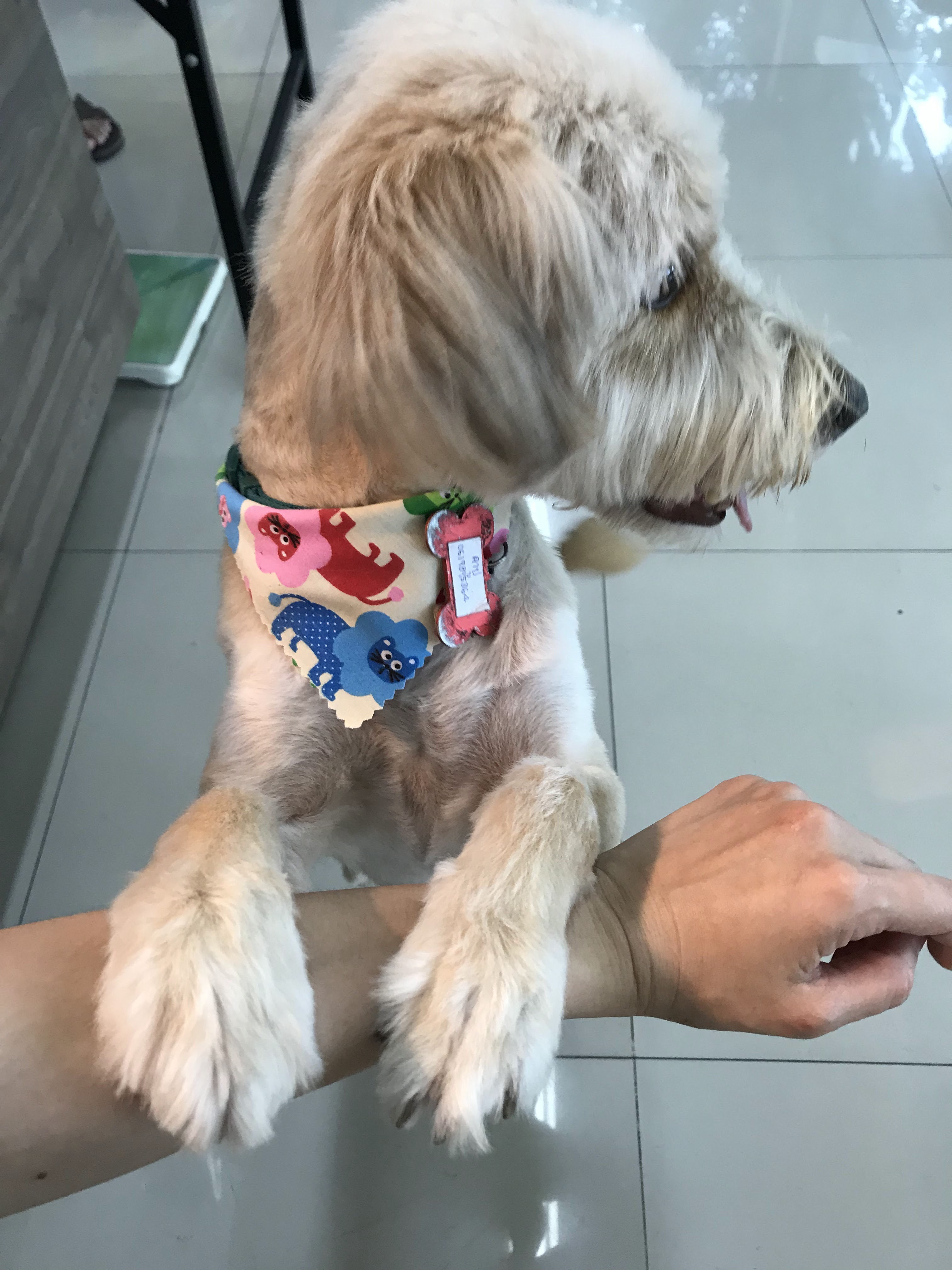 Family Care Pet Hospital