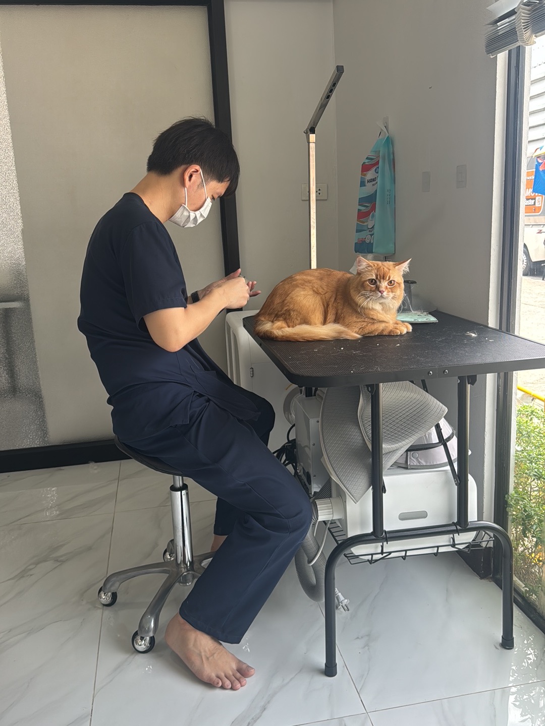 FC Pet Salon (Line: @fcpetsalon)