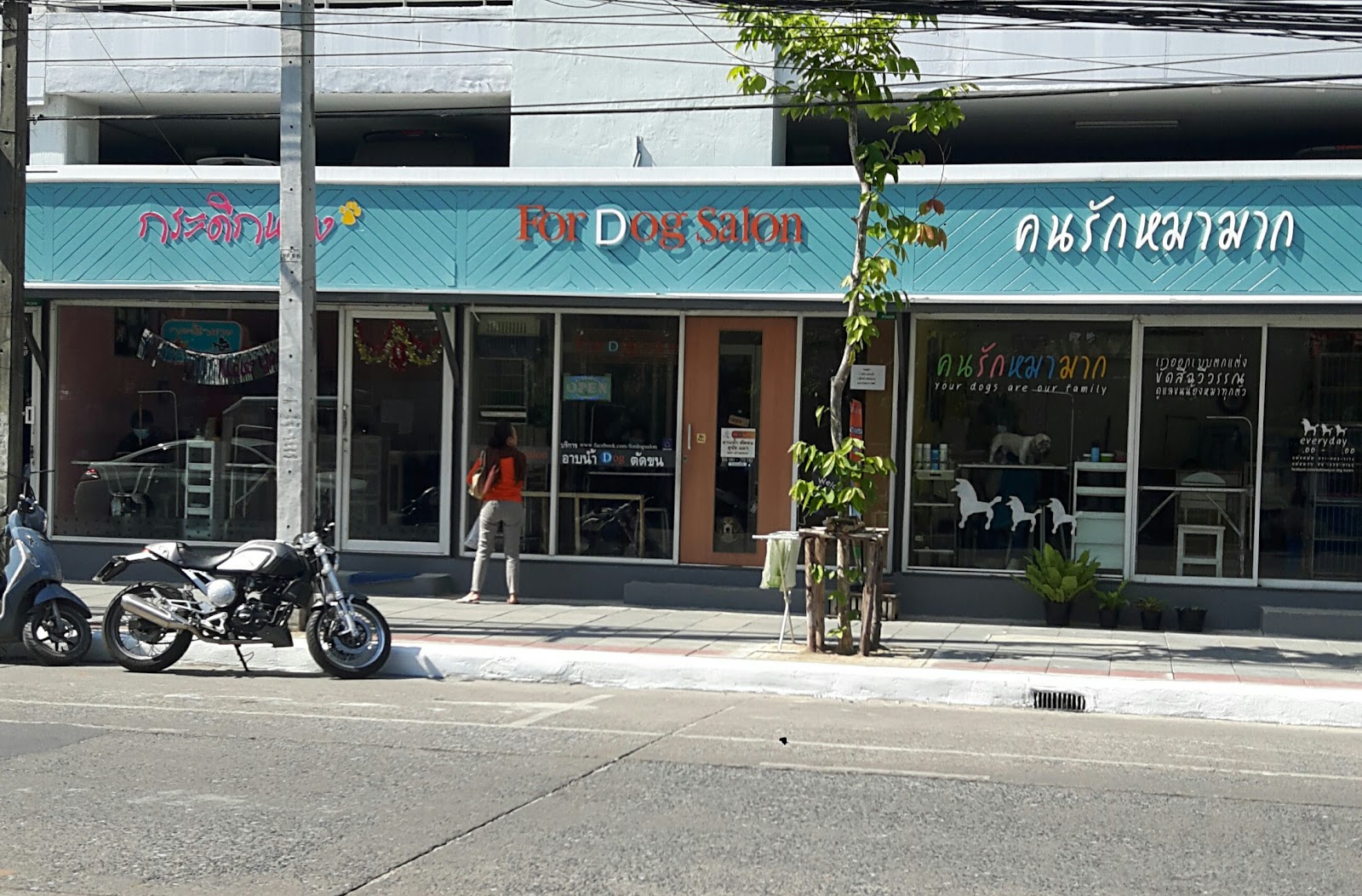 For Dog salon