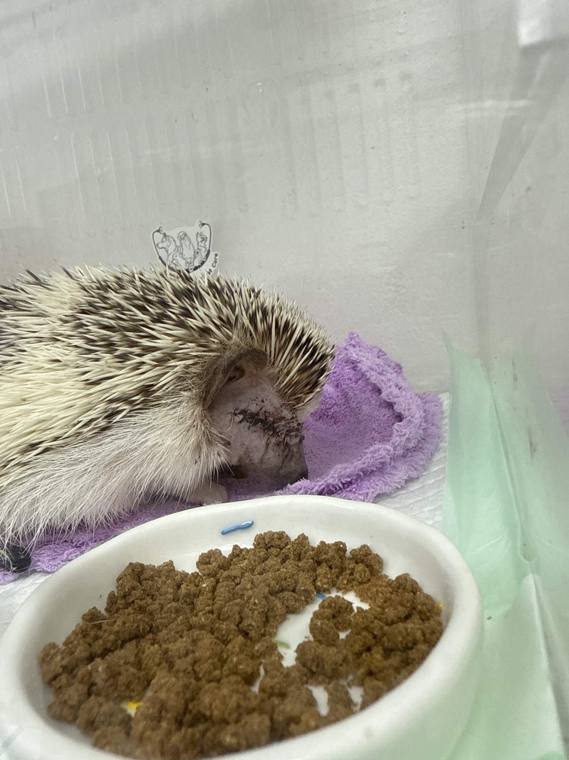 Gamma ExoticPetCare Hospital