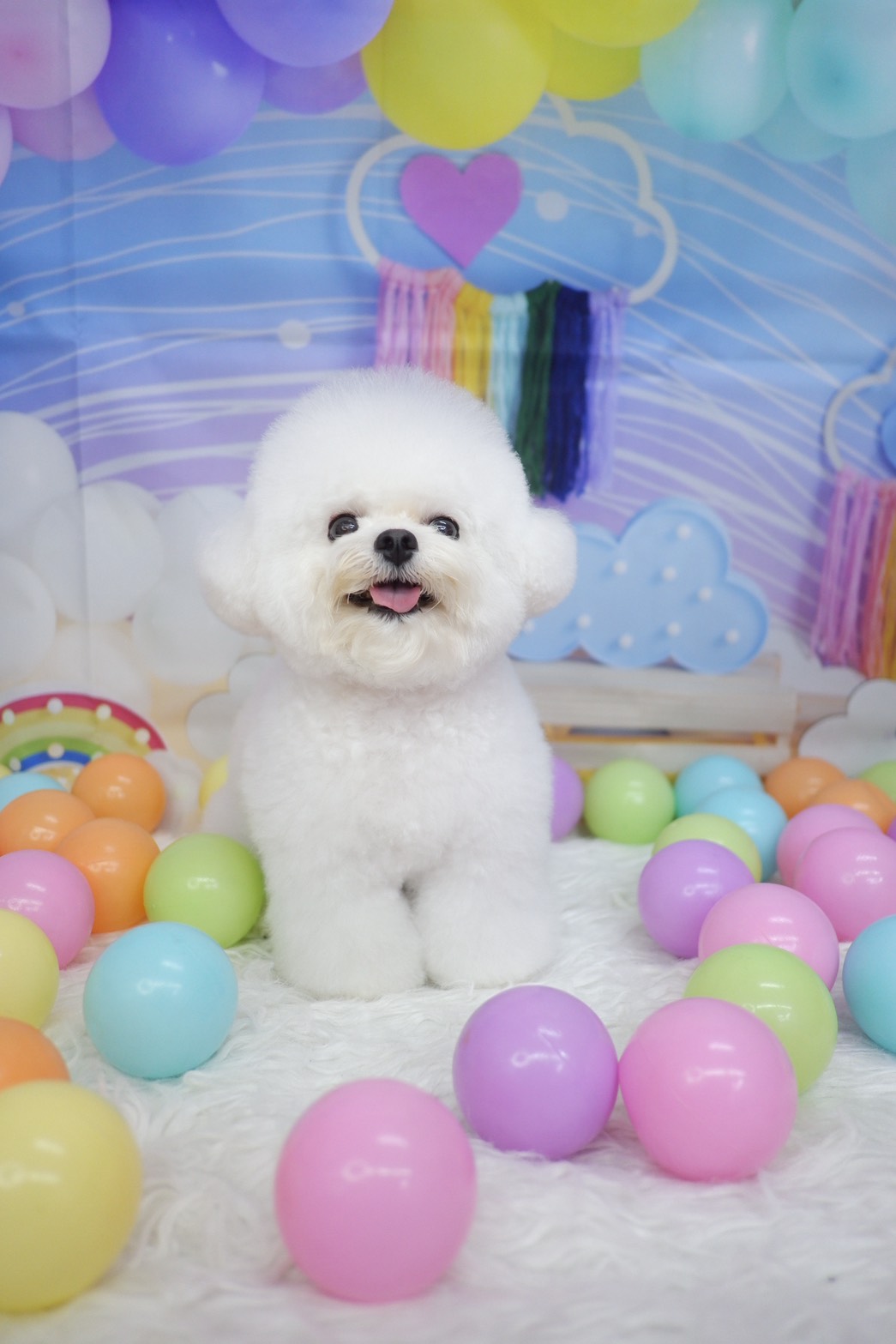 Happy Grooming Salon & Homestay