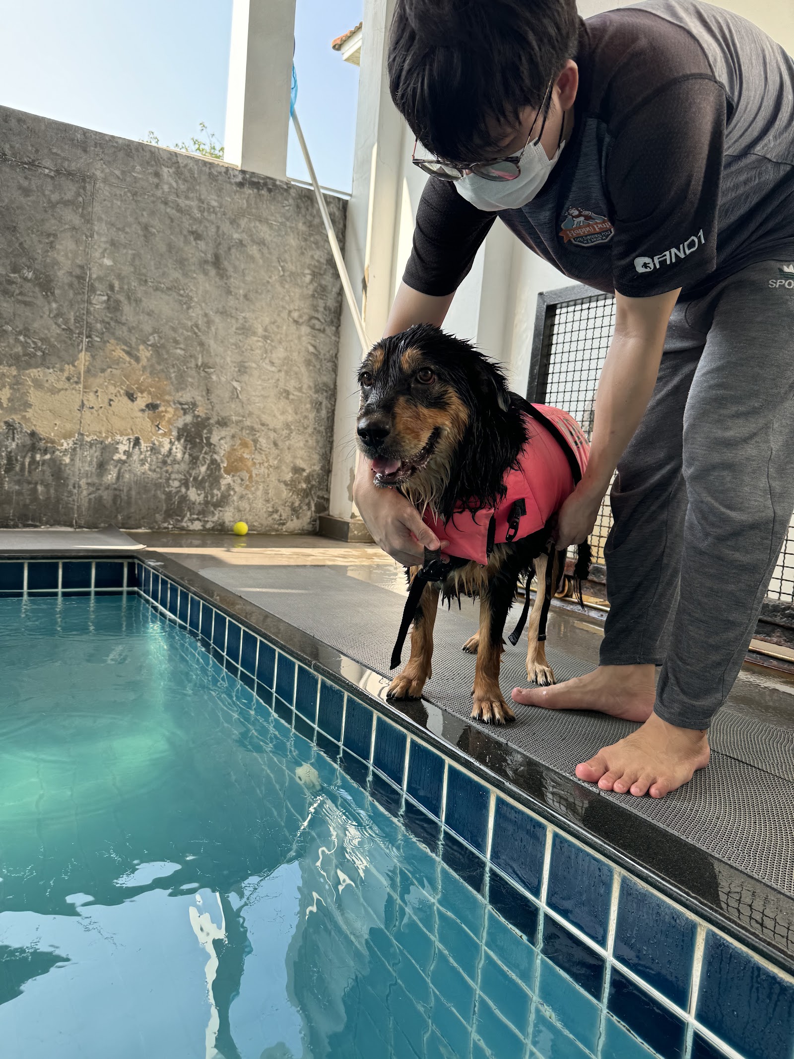 Happy Pup (Dog Swimming Pool and More)
