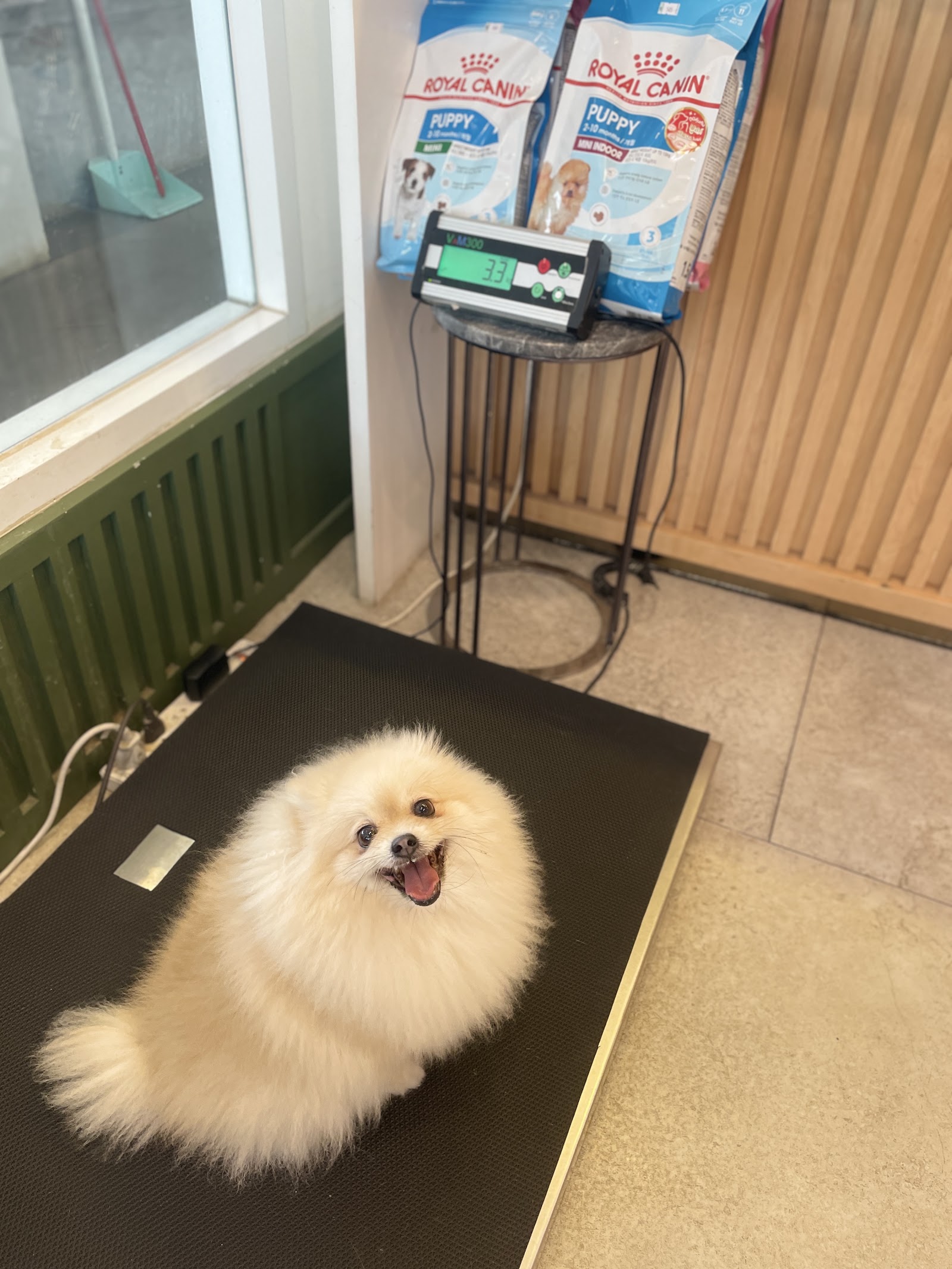 Hato Pet Wellness Center Sukhumvit 39