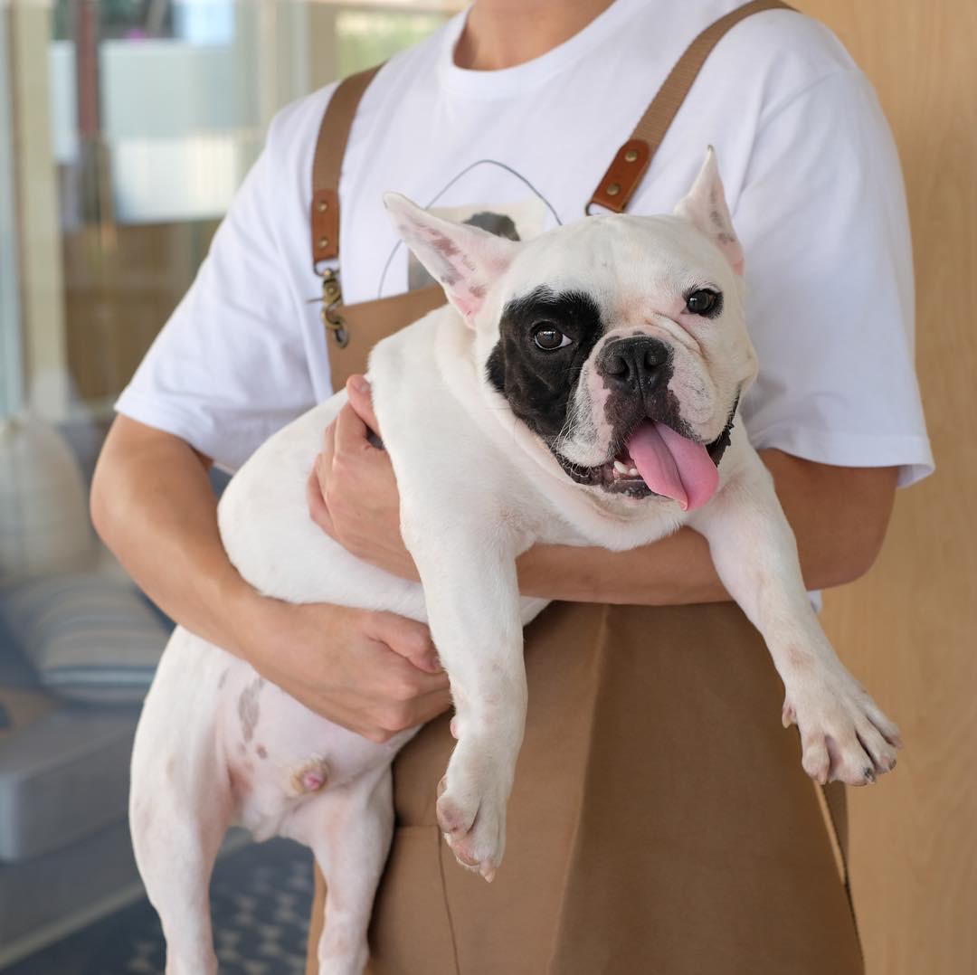 Hato Pet Wellness Center Sukhumvit 39