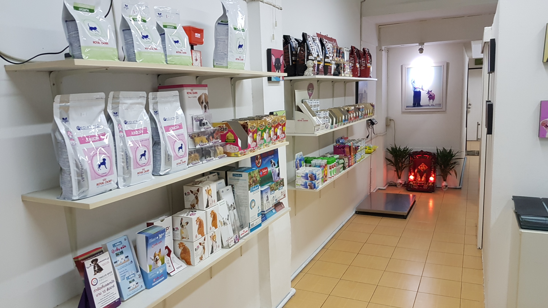 Heal Care Veterinarian Clinic