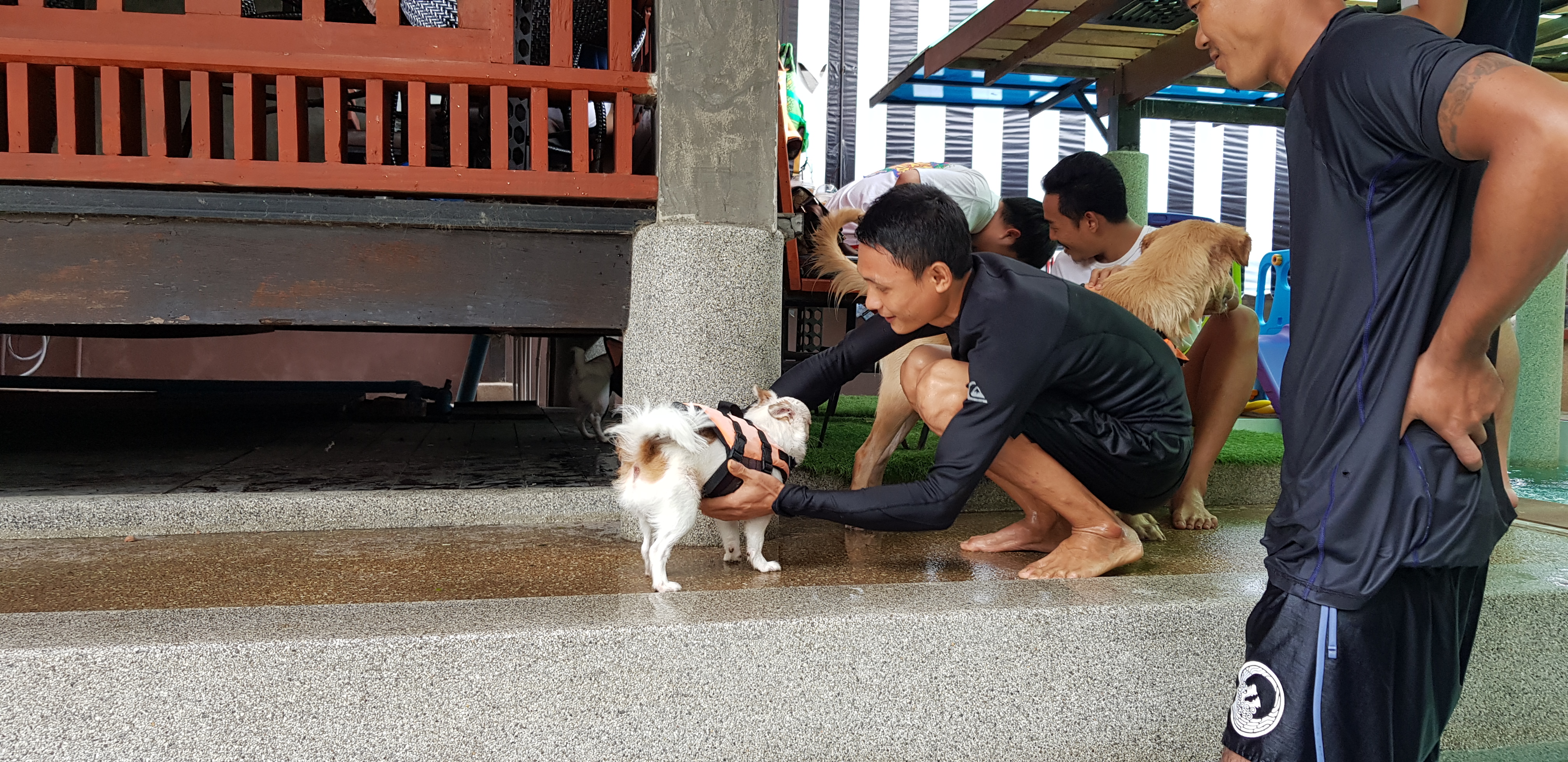 Heart Dog Cafe