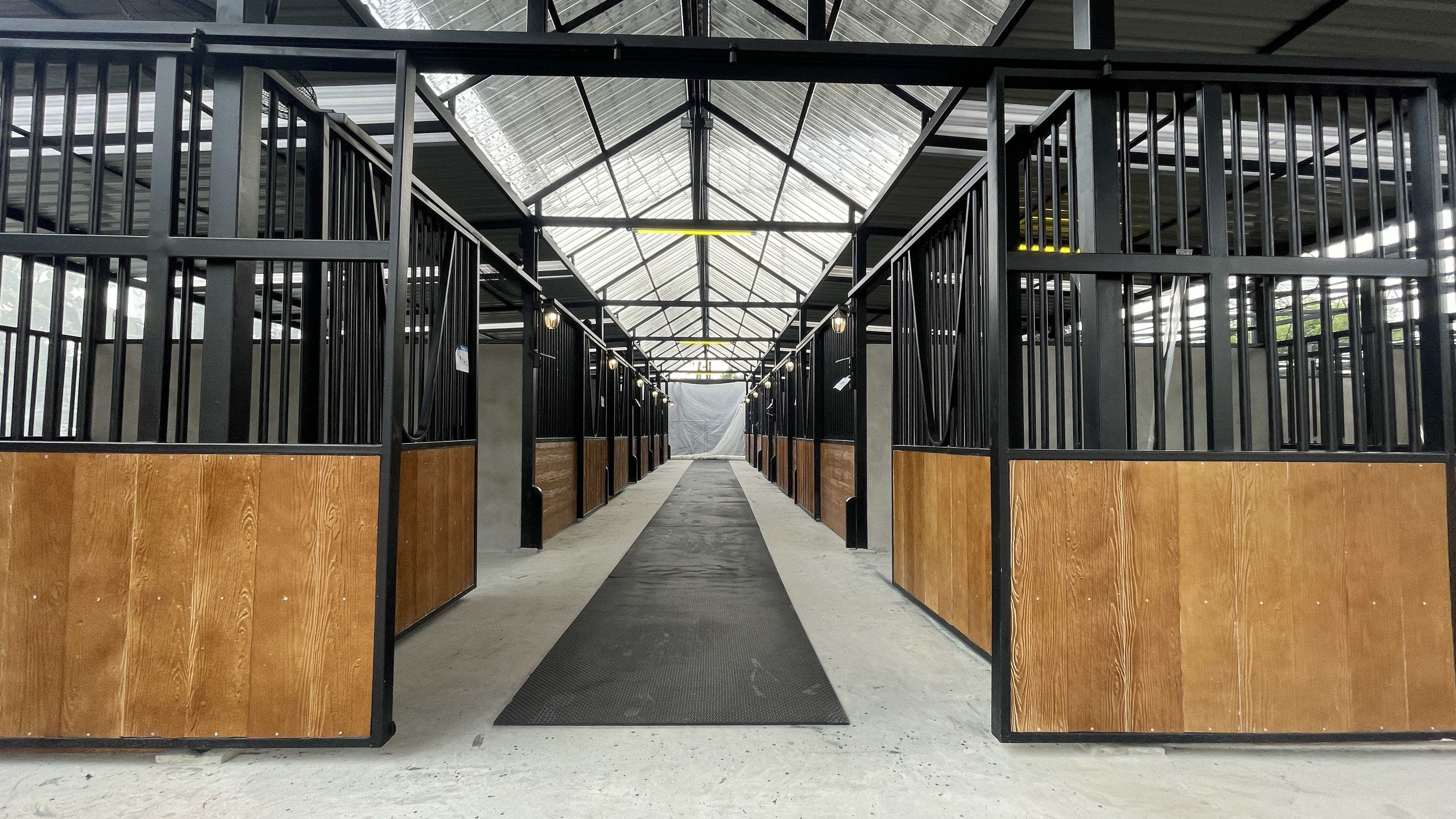Horse Haven Club