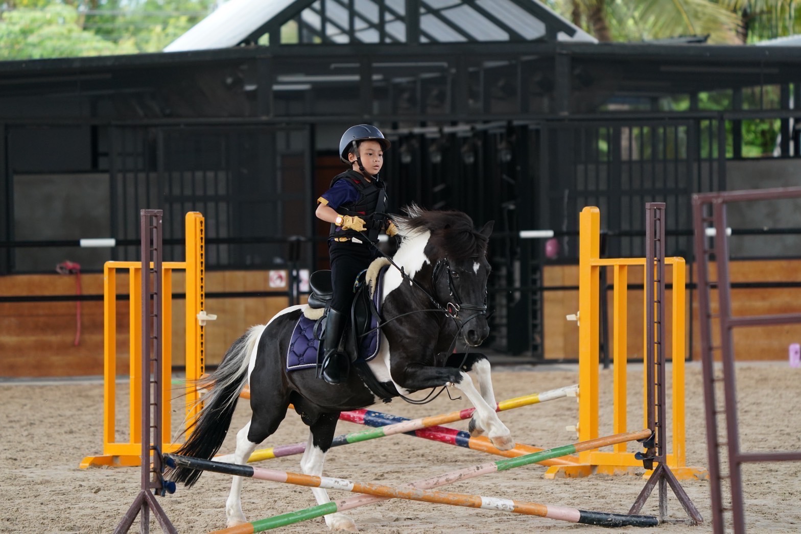 Horse Haven Club