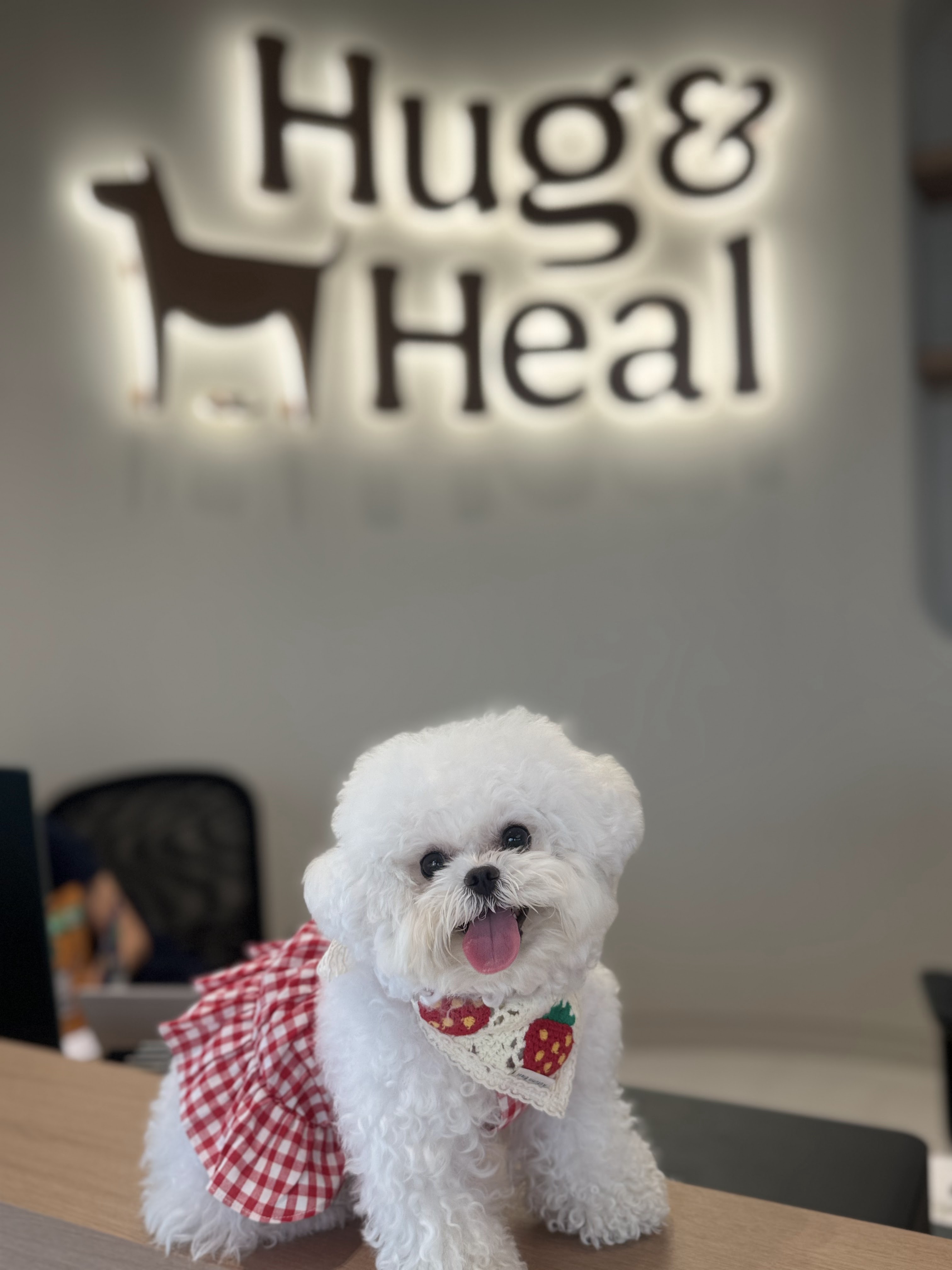 Hug & Heal Pet Hospital