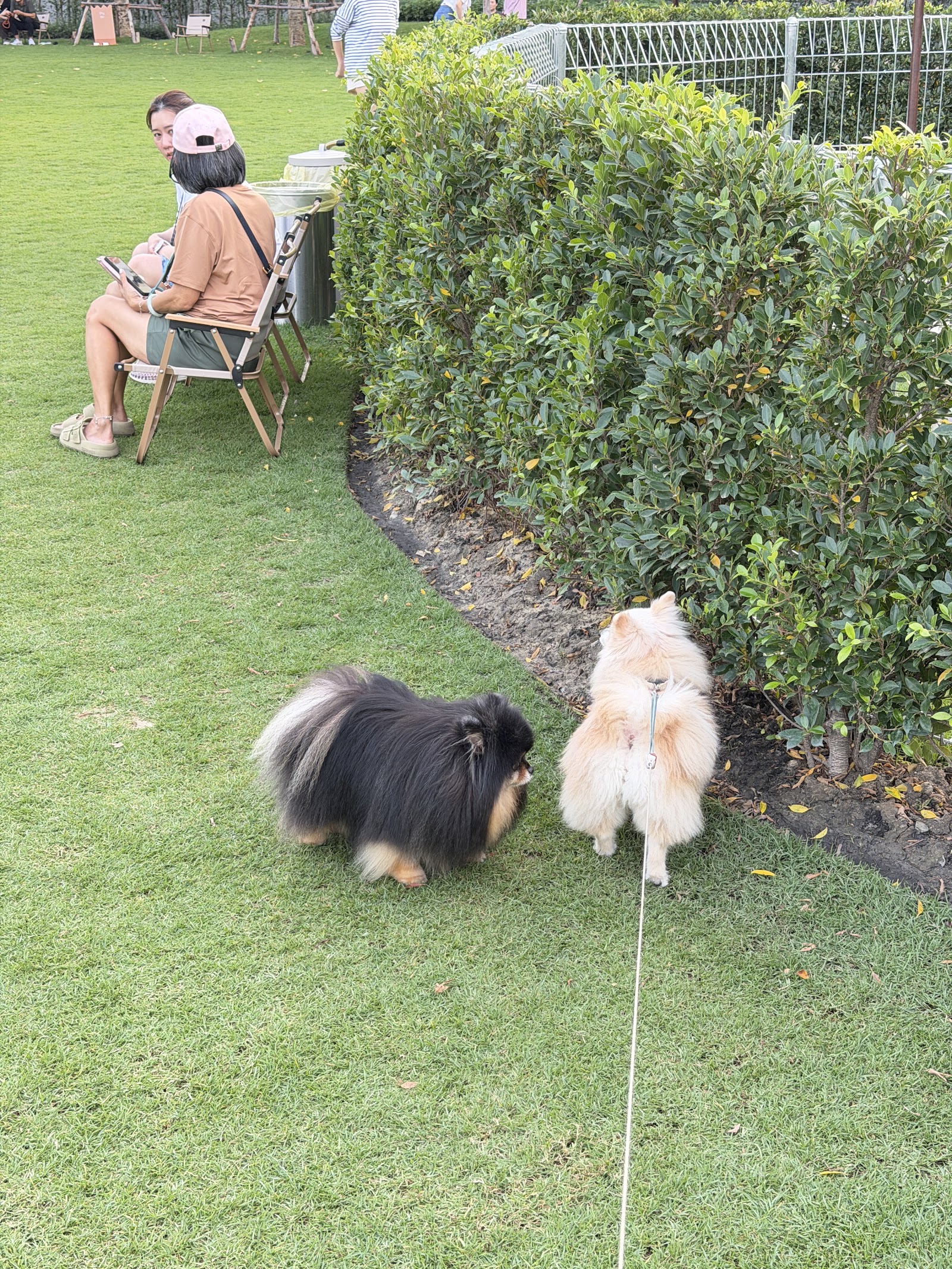 HUND HAUS