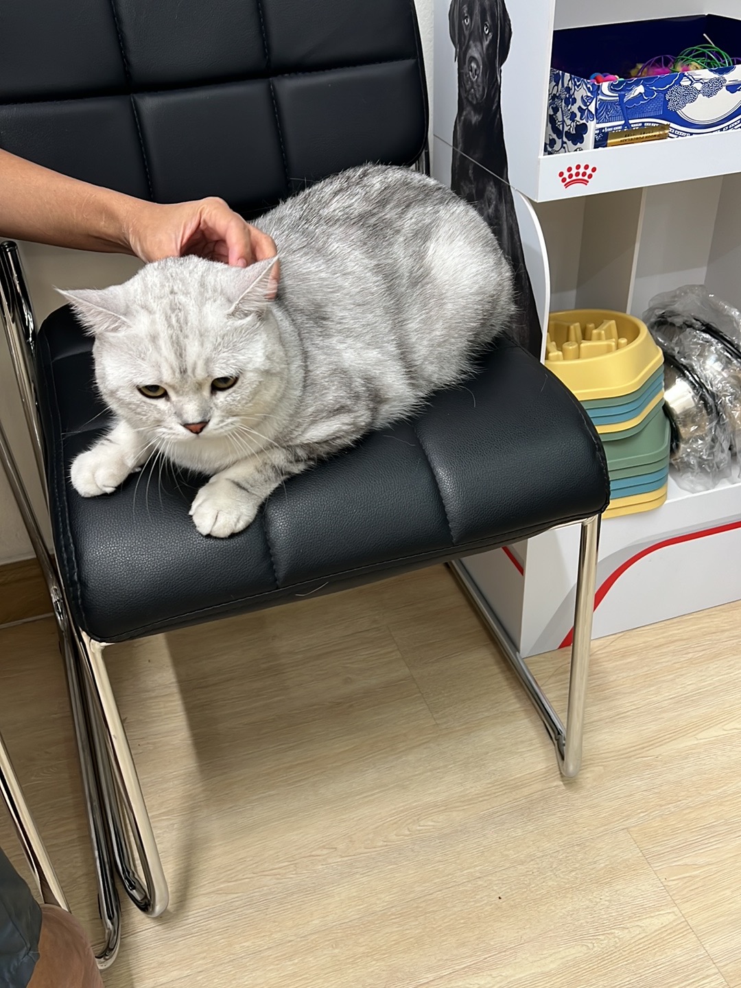 J.W. Pet Care