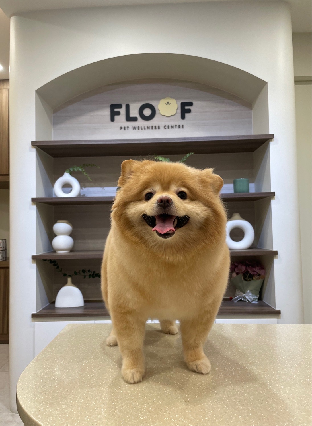 K&M Grooming