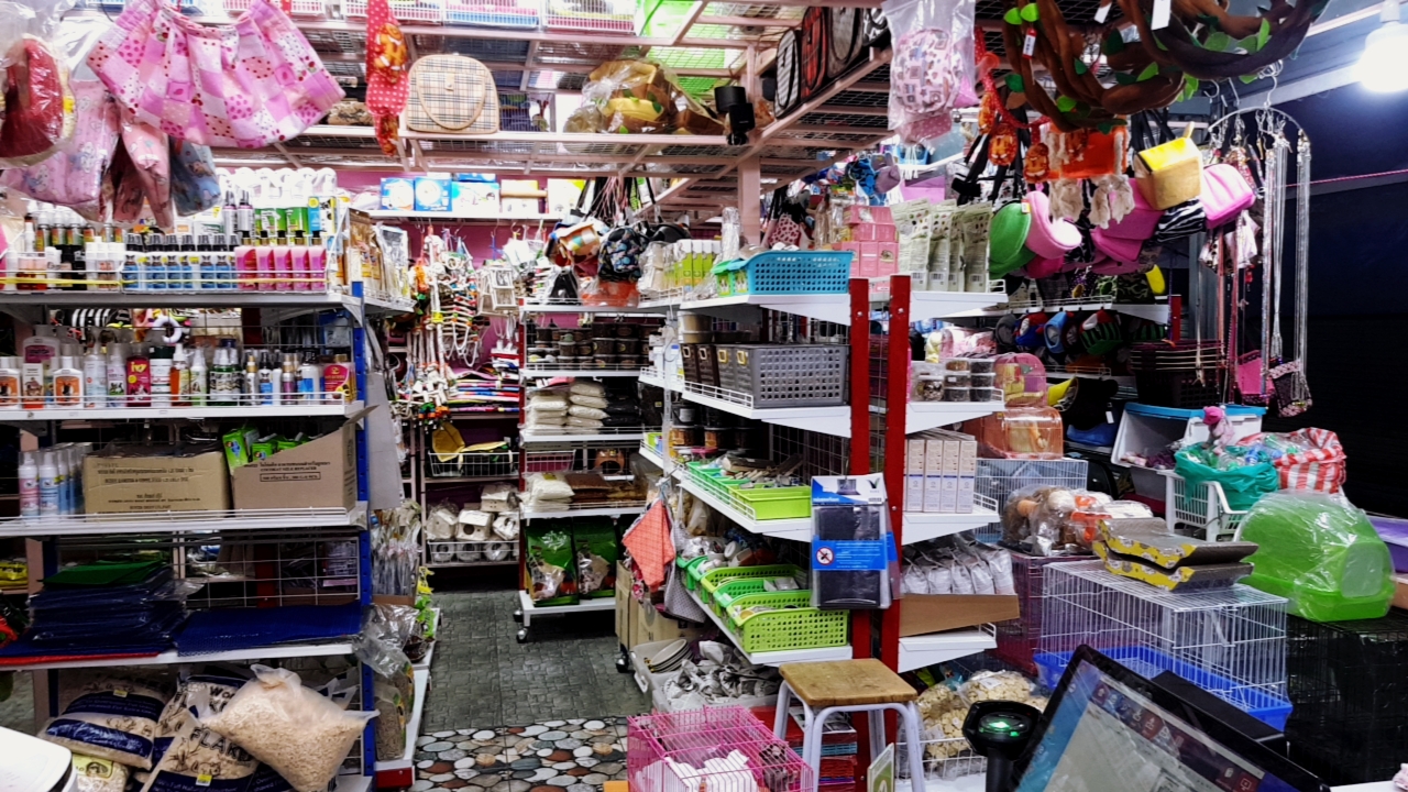 Kaesugar Petshop