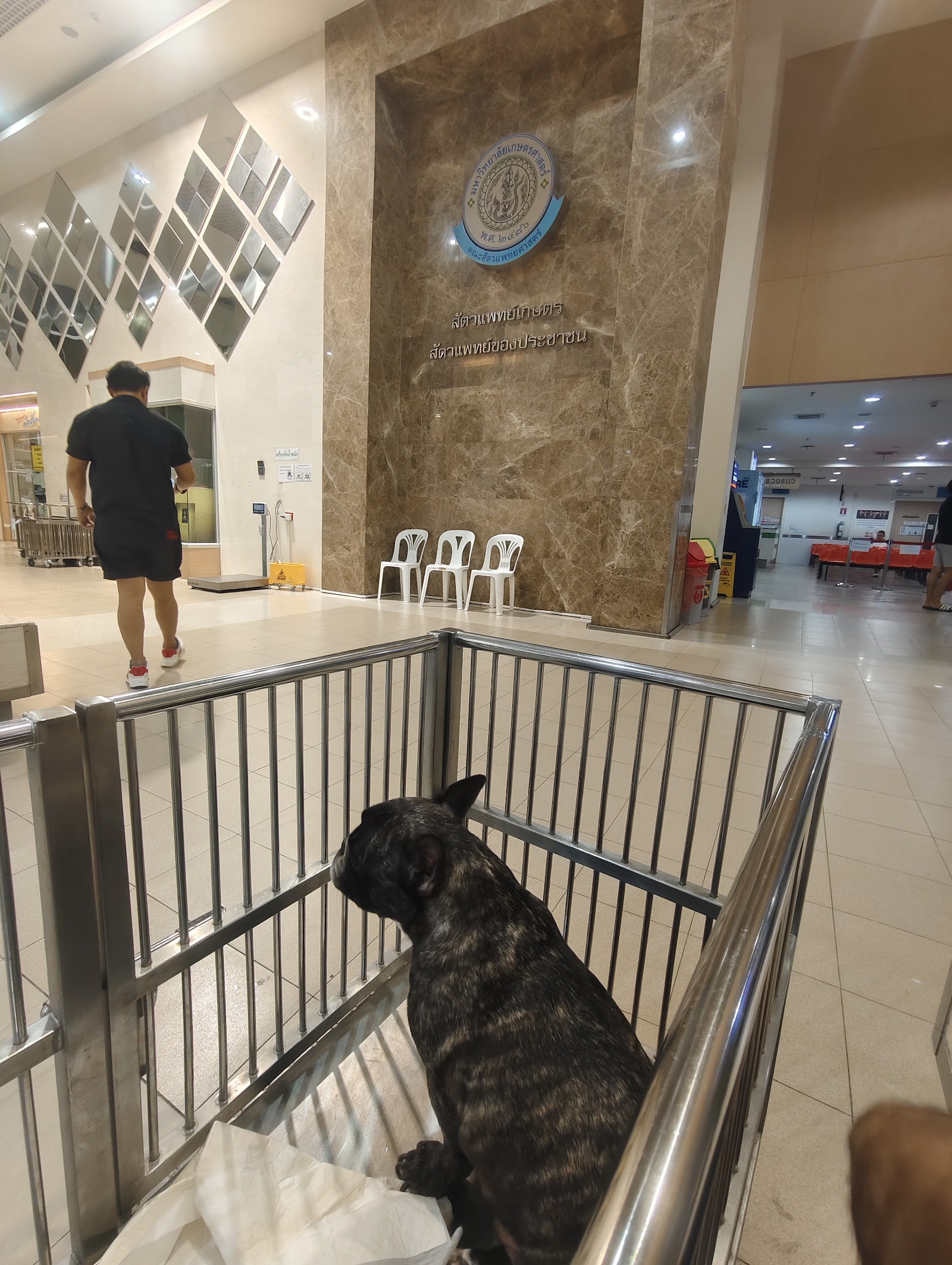 Kasetsart University Bangkhen Campus Animal Hospital