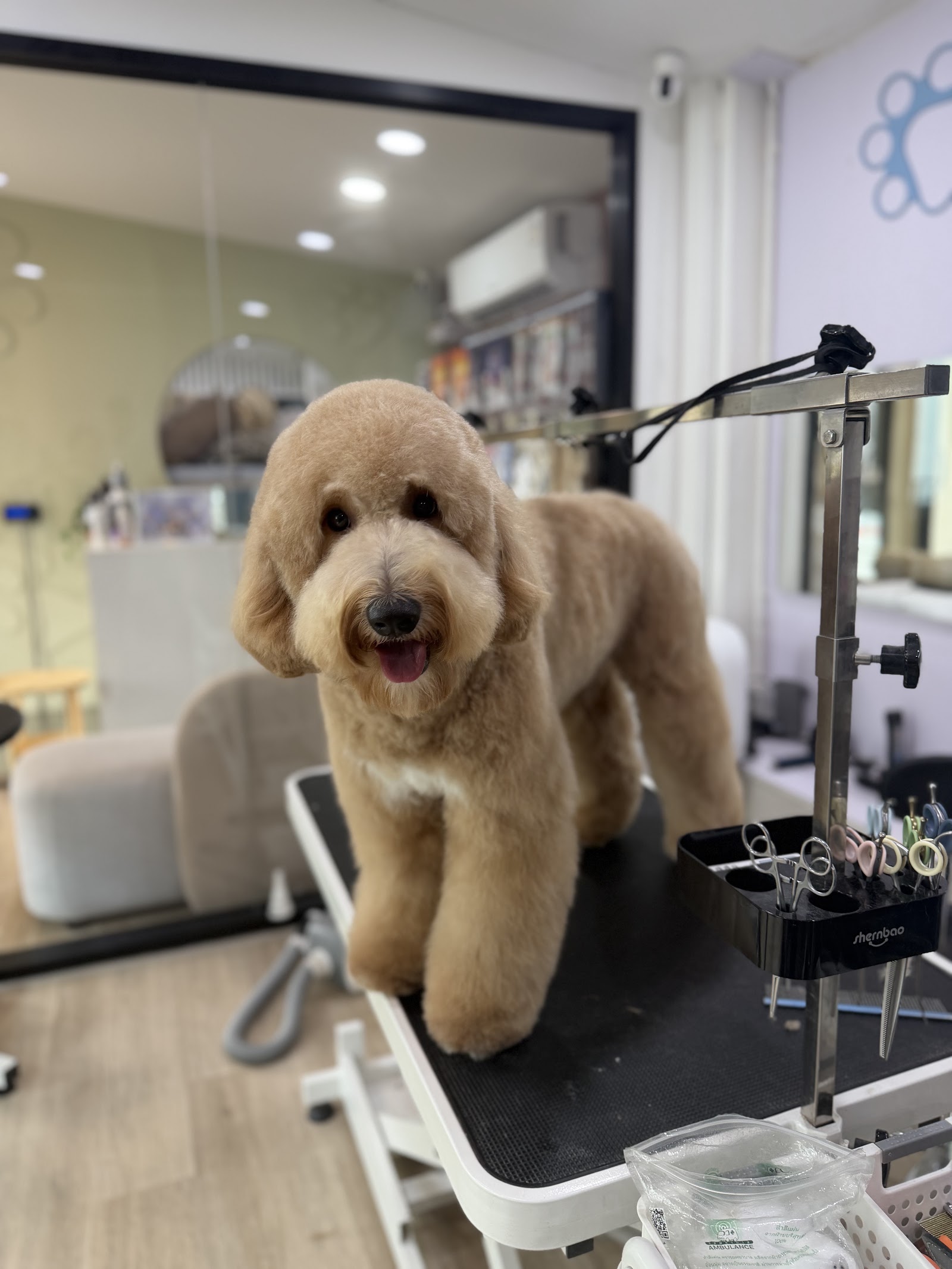 Kensington Pet Salon & Hotel