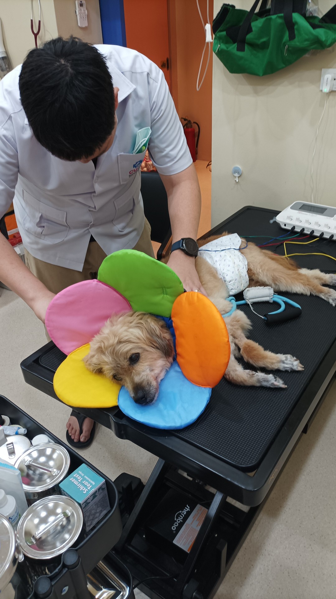 LANDBARK Clinic & Pet Shop