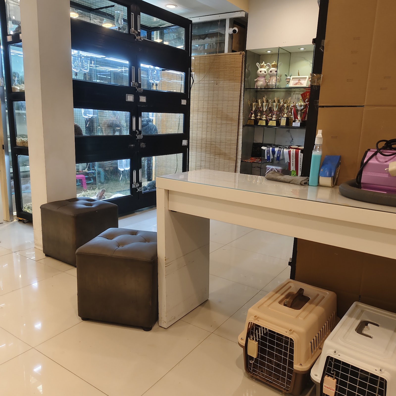 Madam rabbit shop