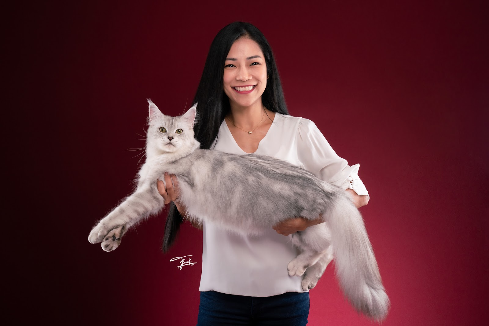 Maine Coon Thailand - QT Coons Bangkok