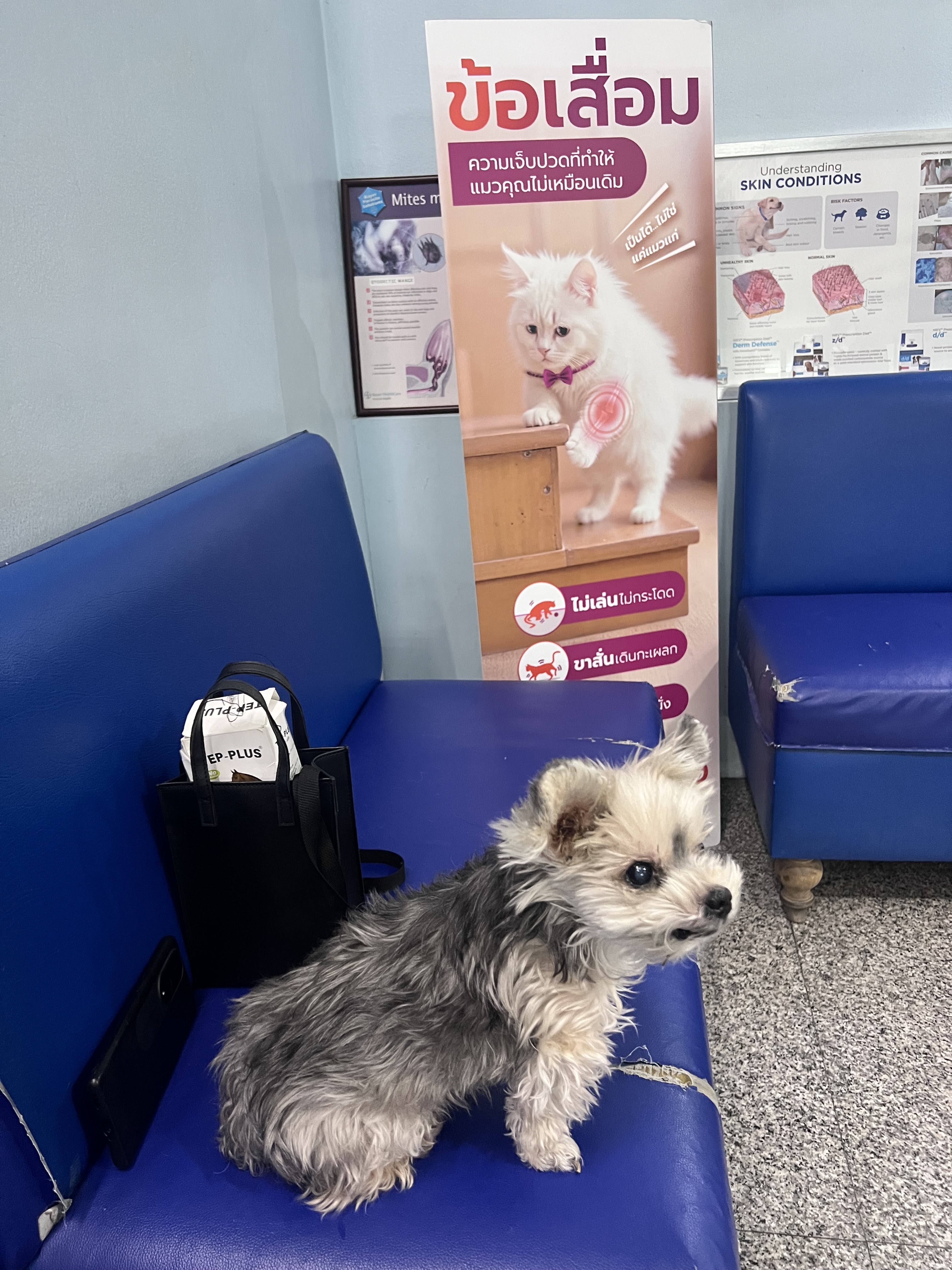 Mee Sook Animal Hospital
