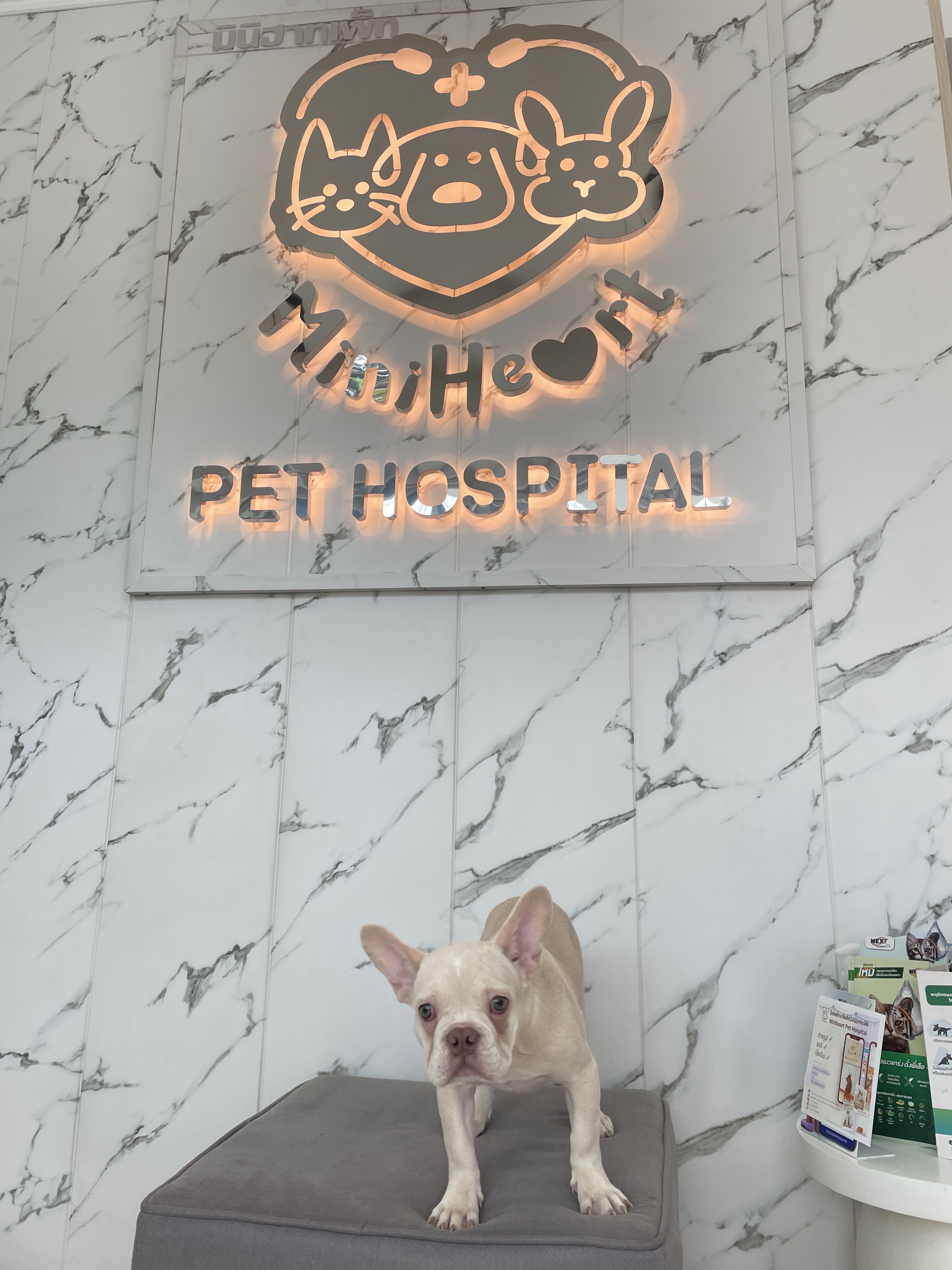Miniheart Pet Hospital