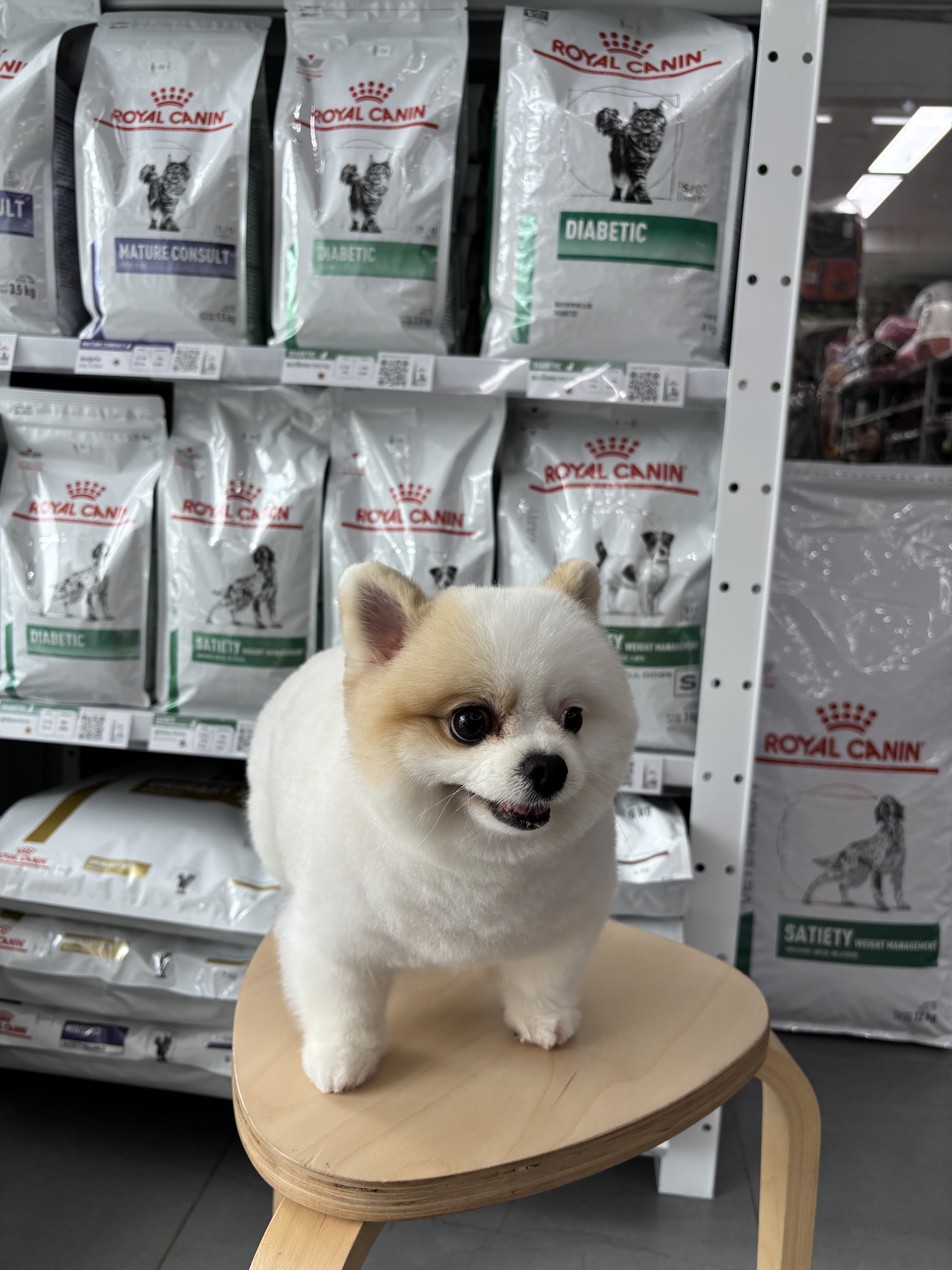 Moya Pet Care) 5