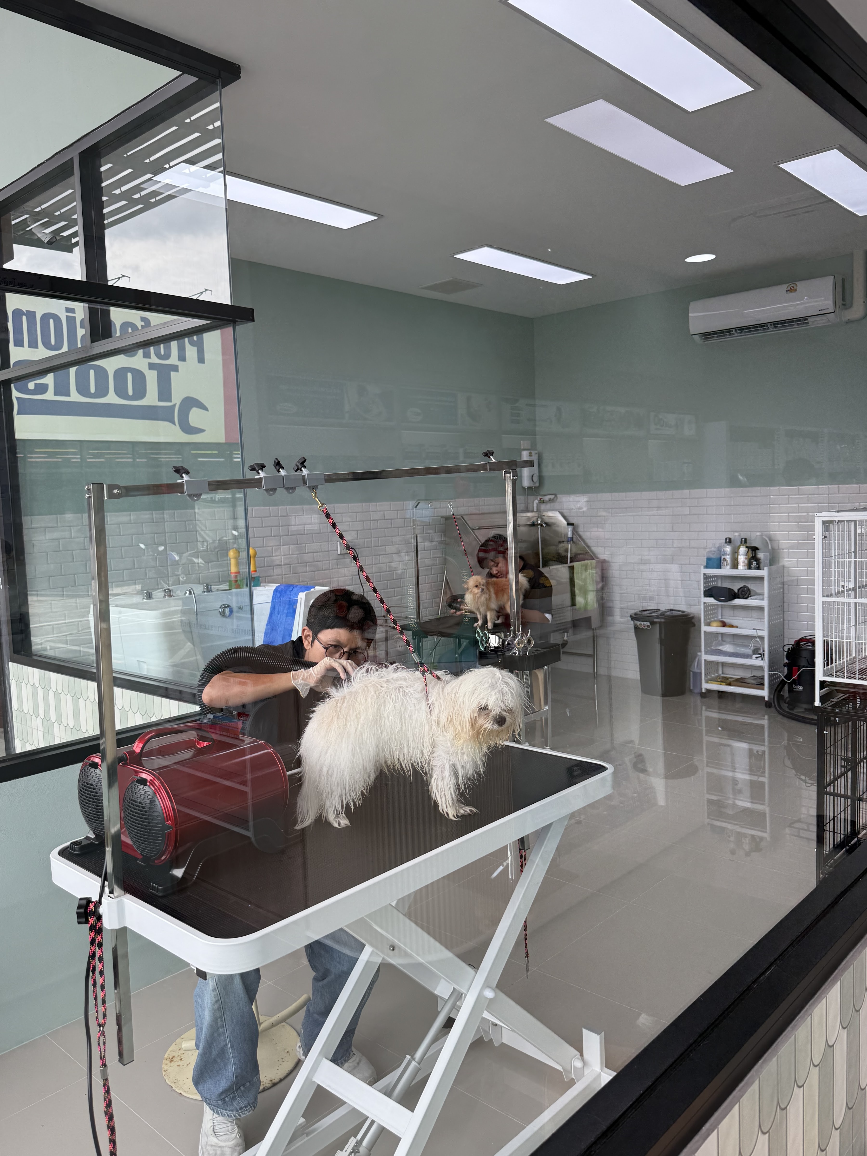 MOYA Pet Care) 7