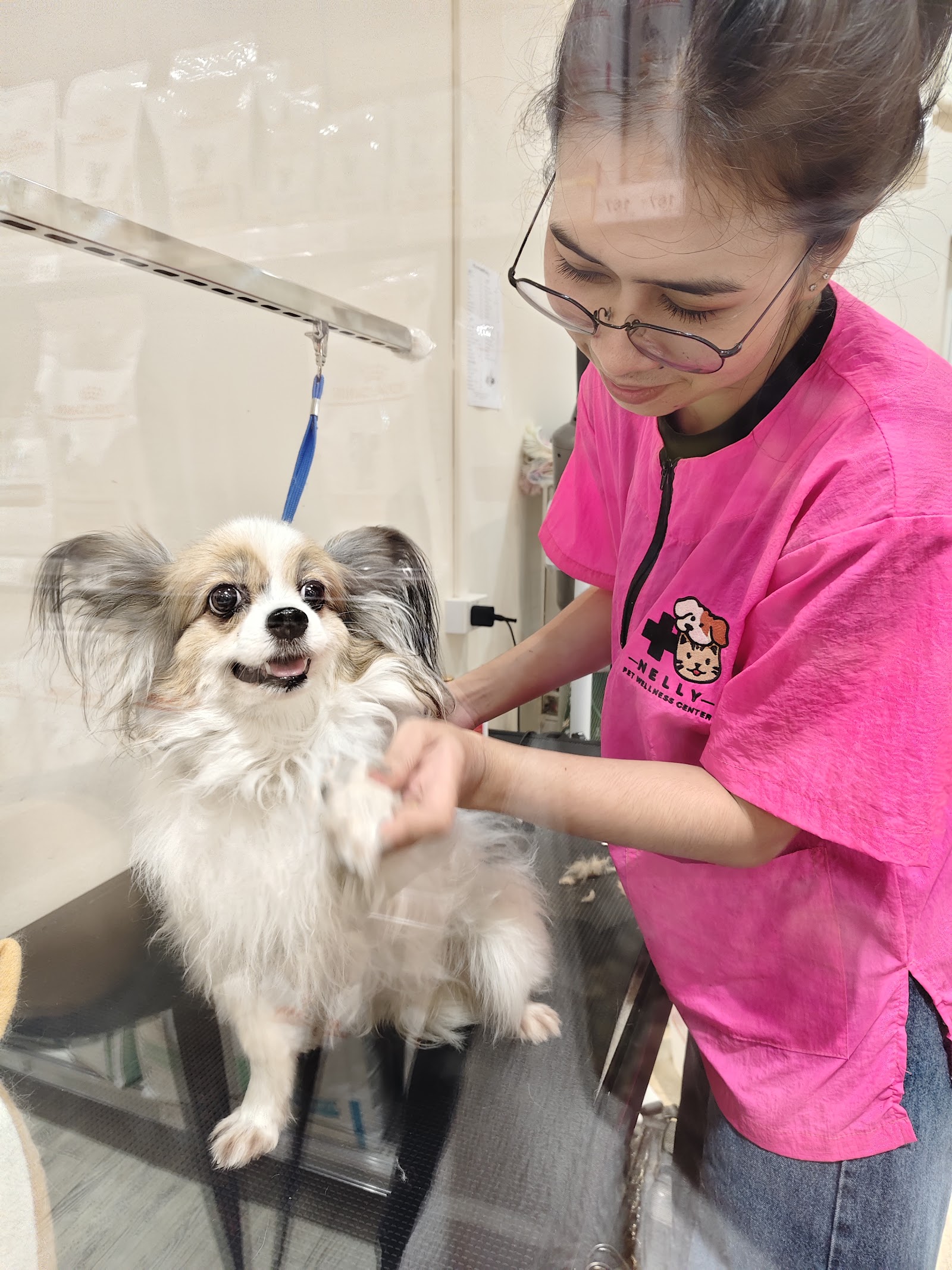NELLY PET GROOMING & SPA (MarketPlace Wongsawang)