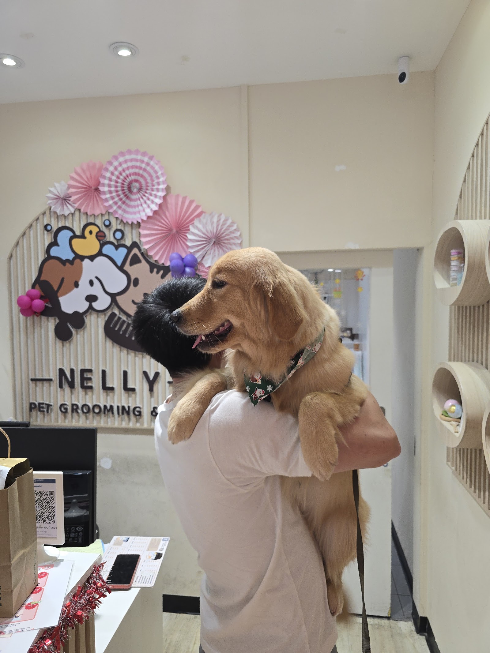NELLY PET GROOMING & SPA (MarketPlace Wongsawang)