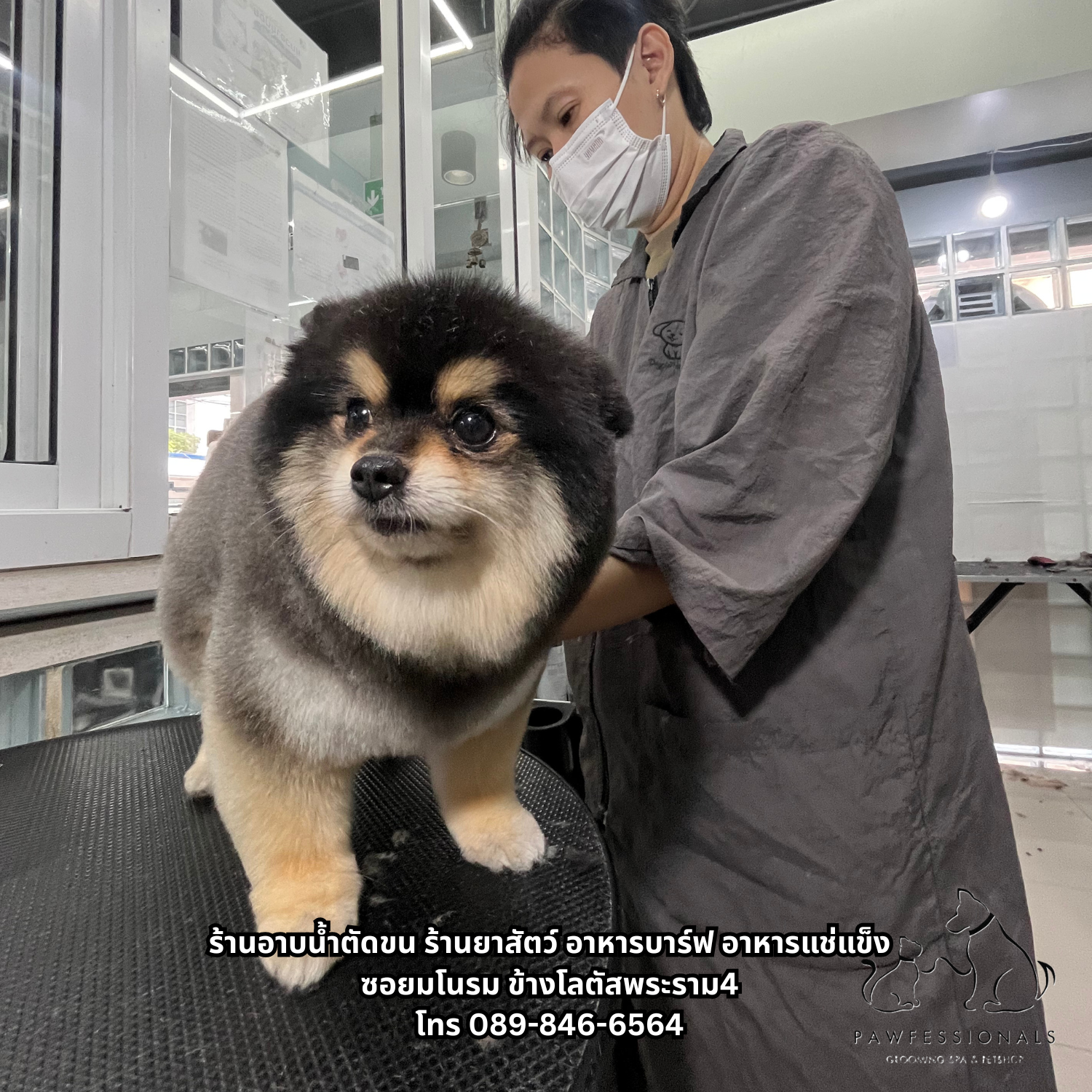 PAWFESSIONALS Grooming Spa & Pet shop