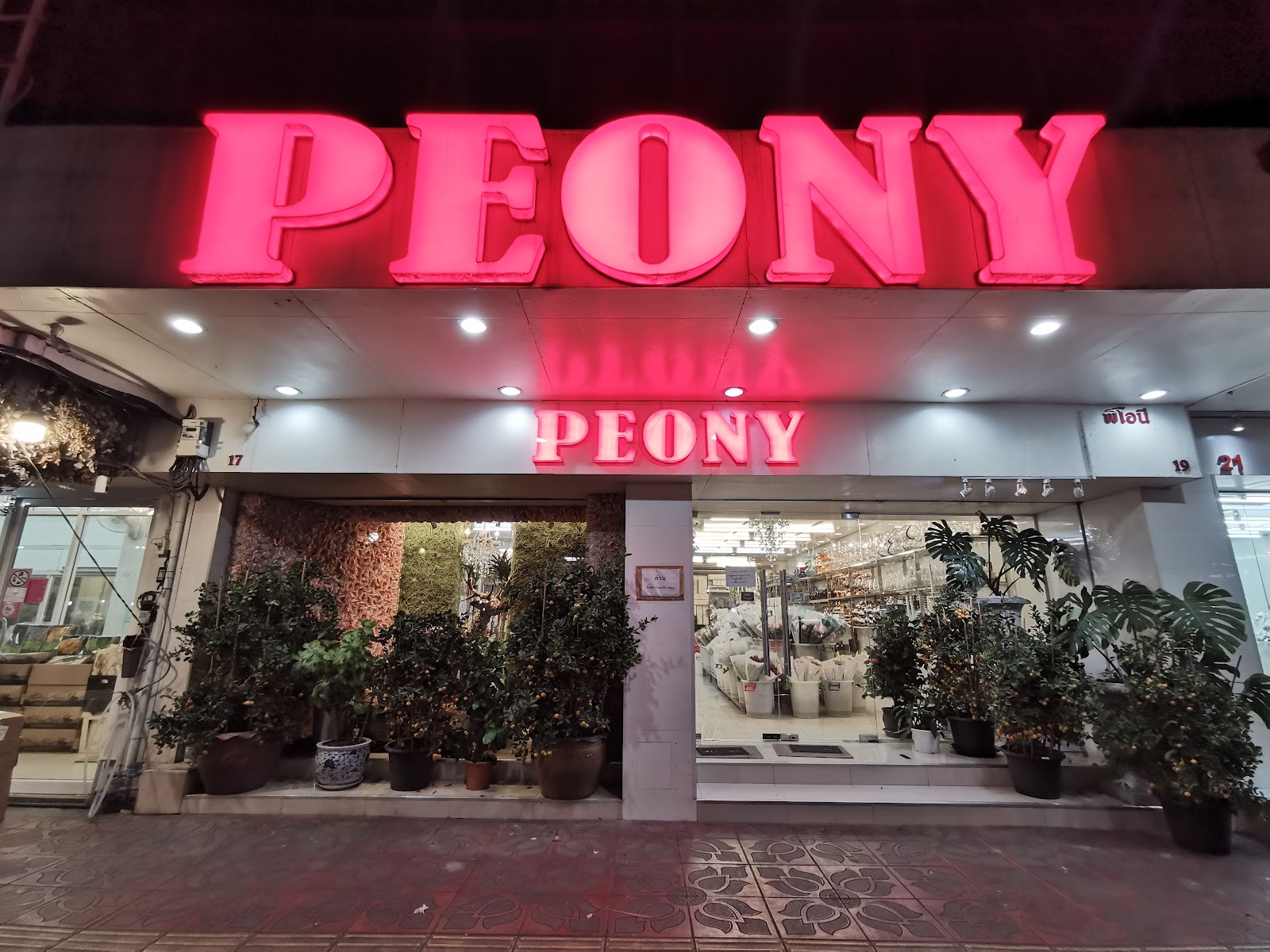 PEONY