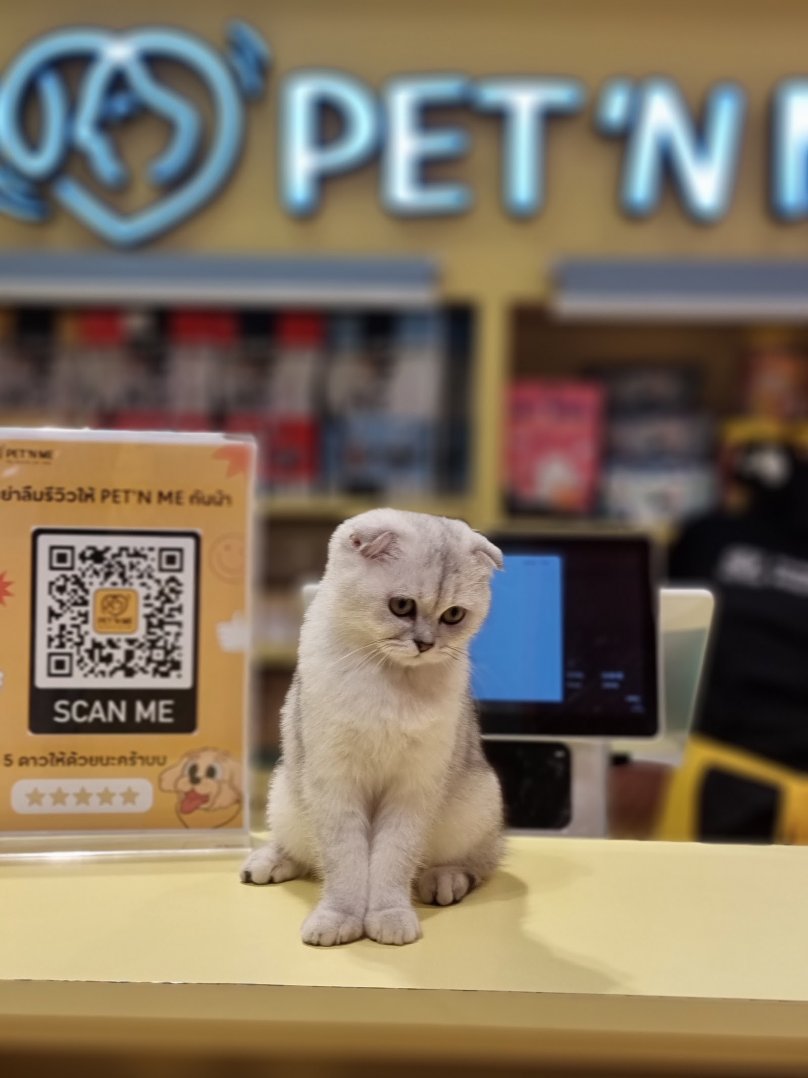PET 'N ME Wongsawang 1