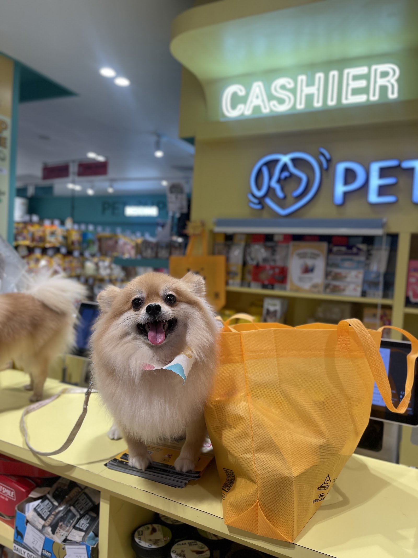 PET 'N ME Wongsawang 1