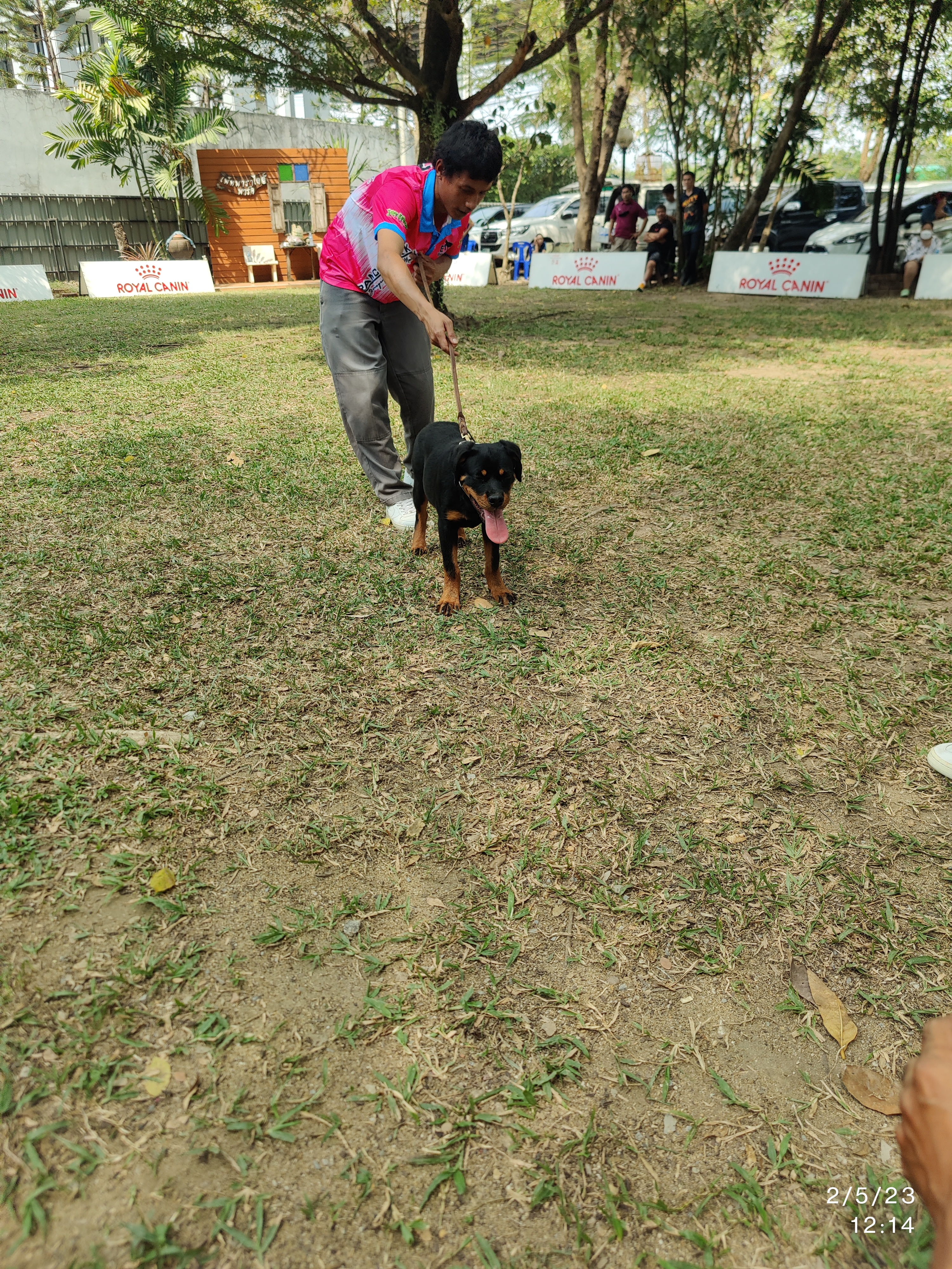 Pet Paradise Park