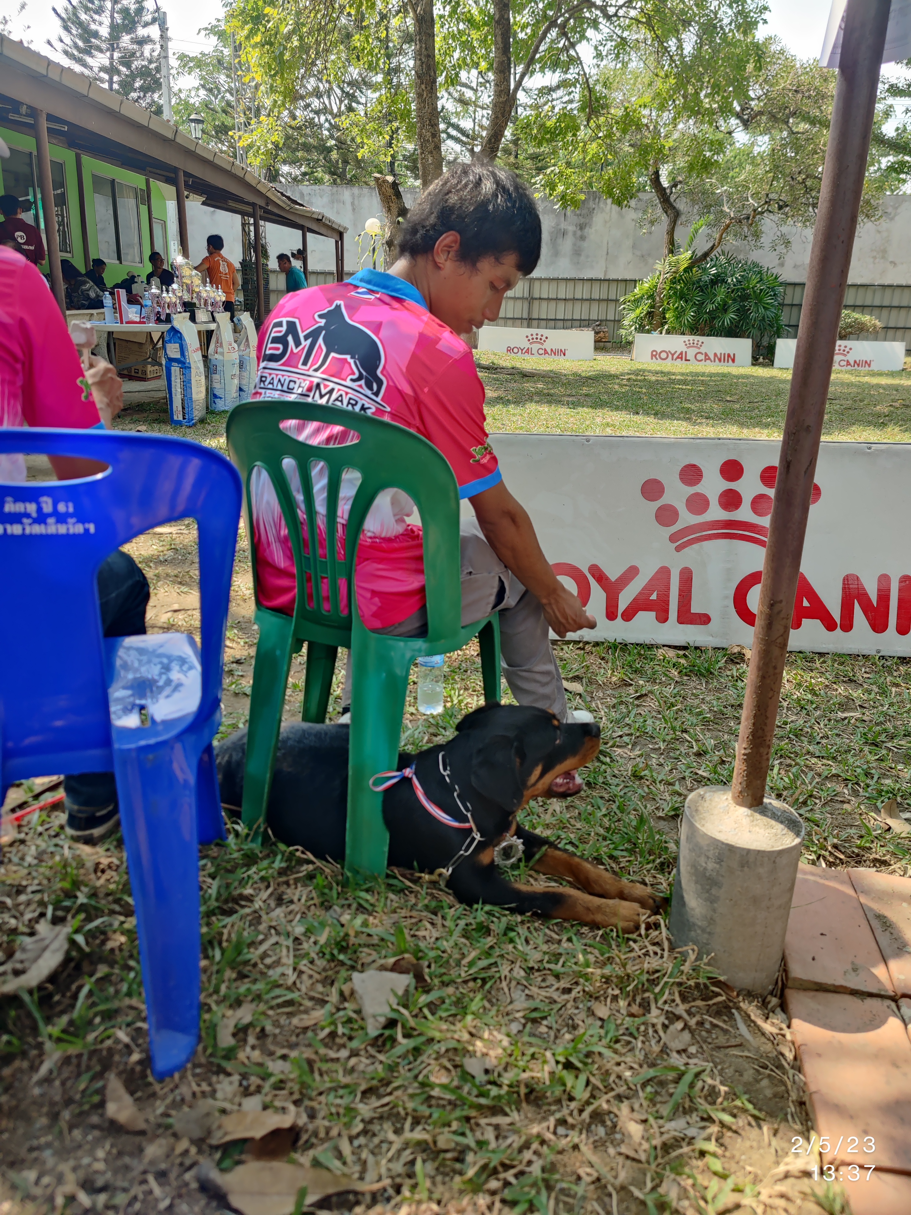 Pet Paradise Park