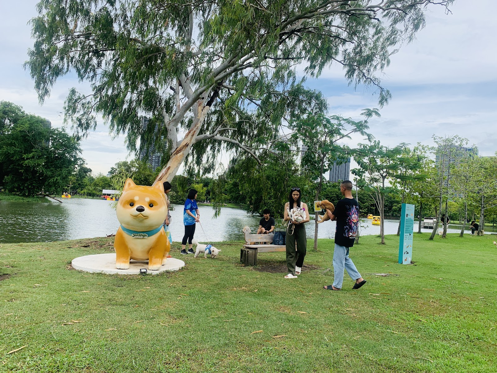 Pet Park Chatuchak