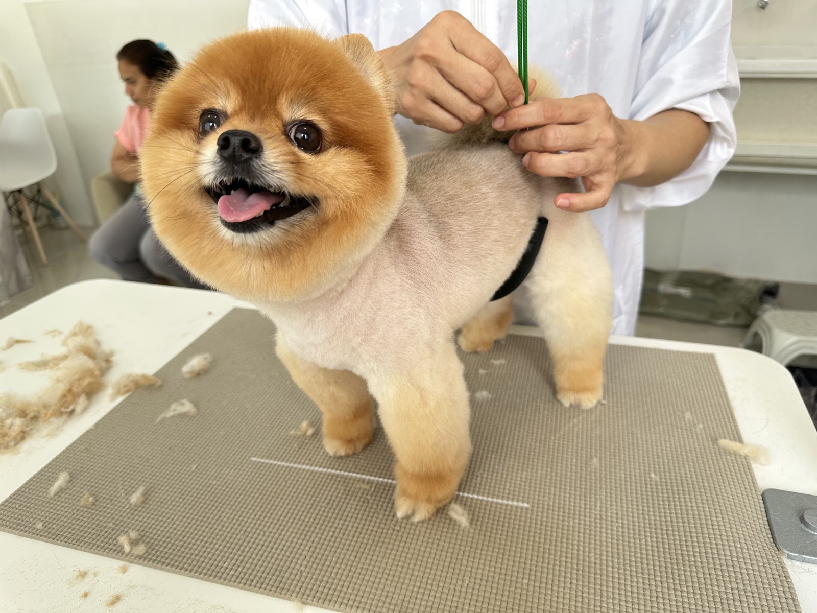 PET PELO Wutthakat