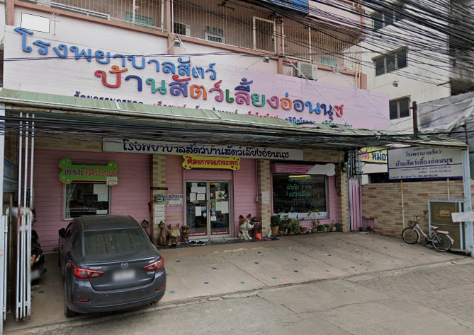 Pet Veterinary Home Animal Hospital