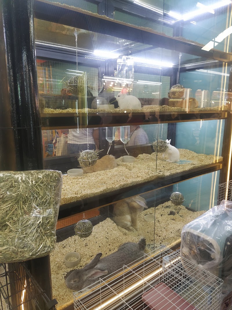 Pet Zone