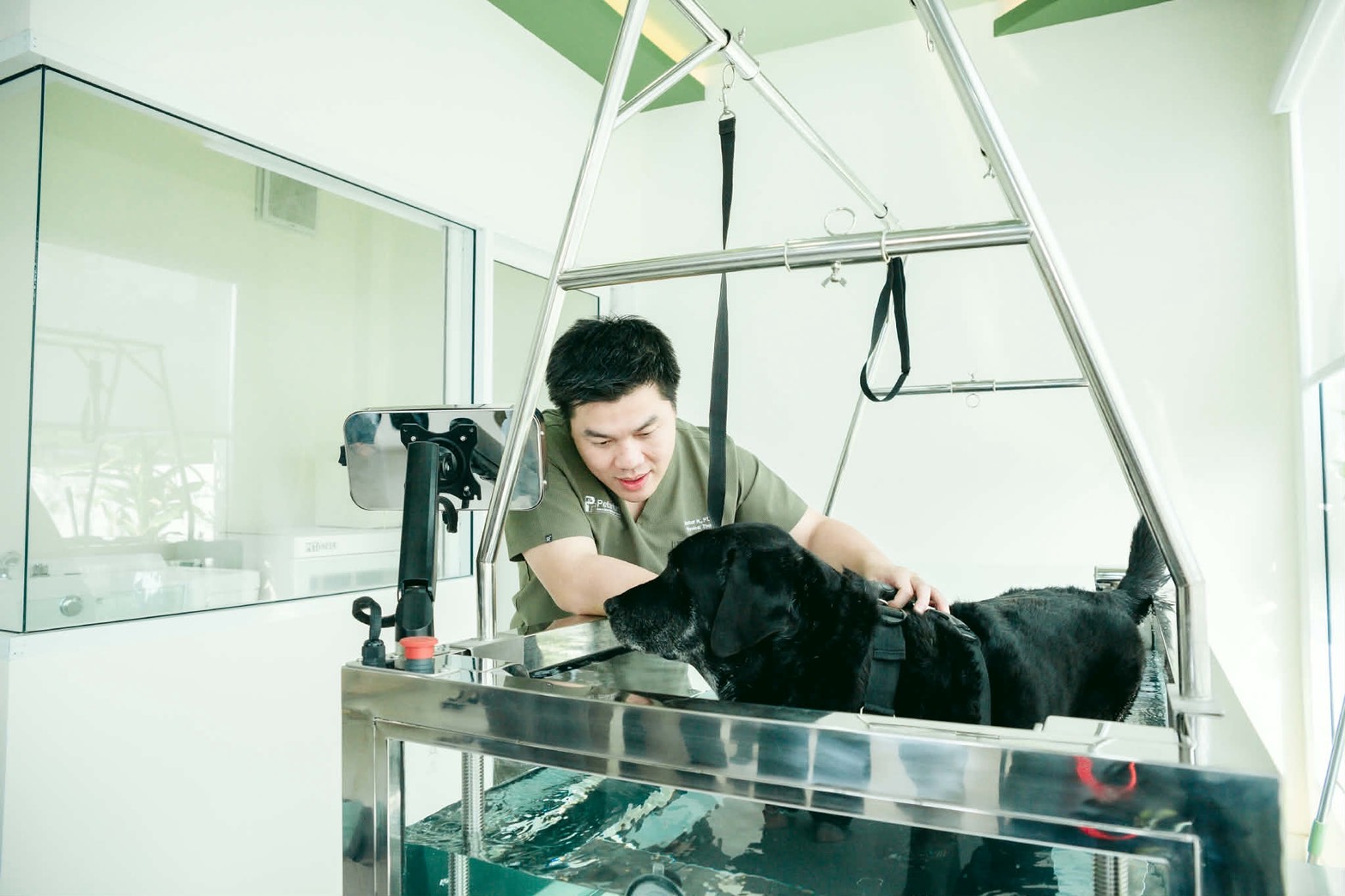Petarium