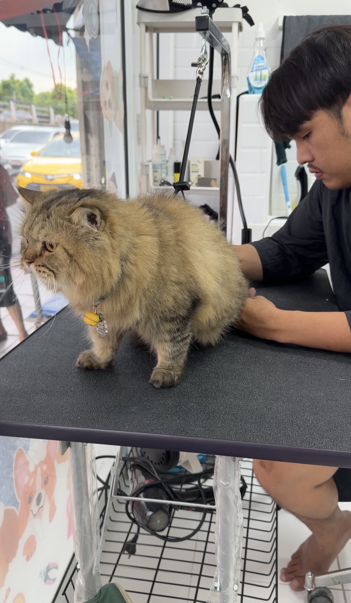Petch Grooming&spa