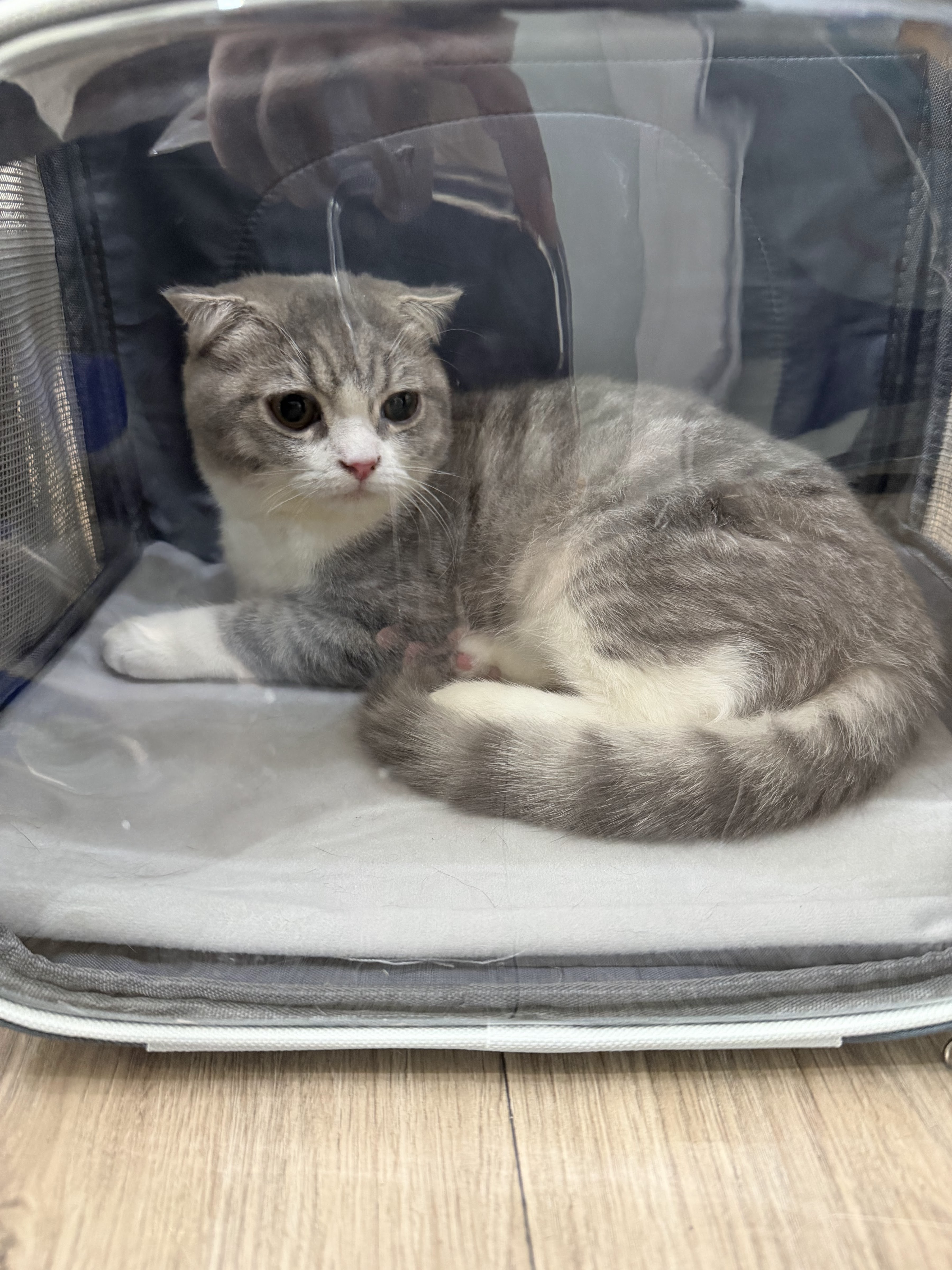 Pets Degree Clinic